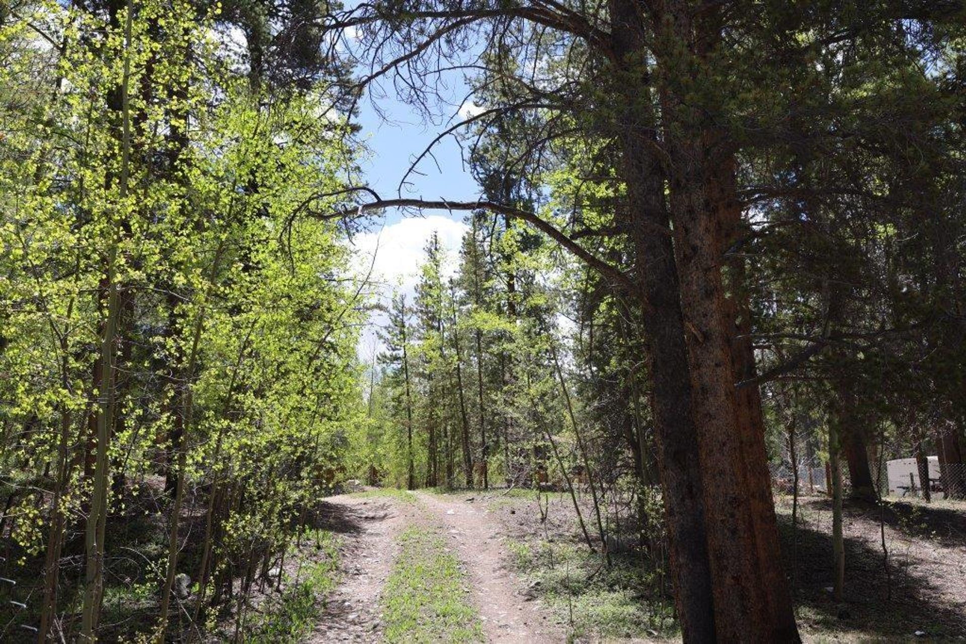 Земельные участки в Leadville, Colorado 11052627