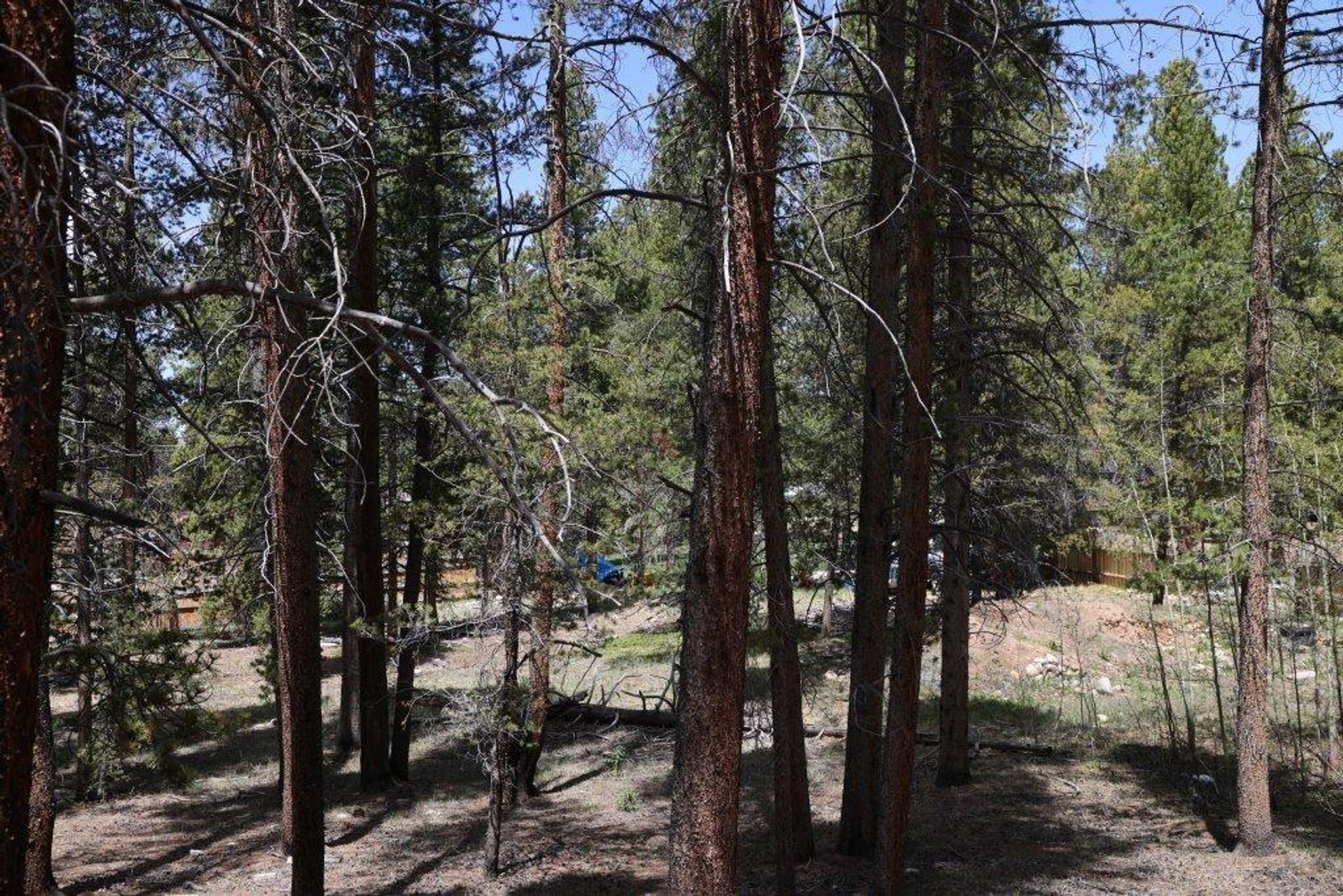 Земельные участки в Leadville, Colorado 11052627