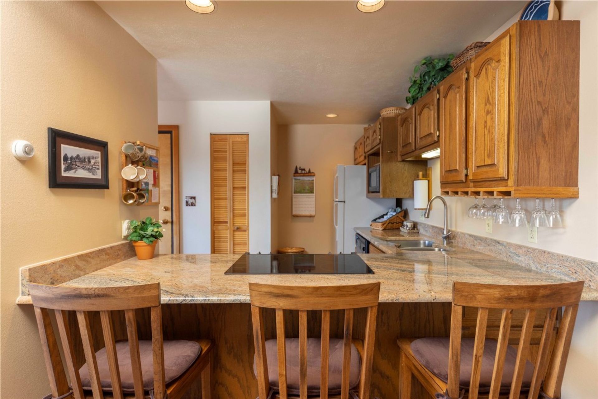 Condominio en Silverthorne, Colorado 11052630