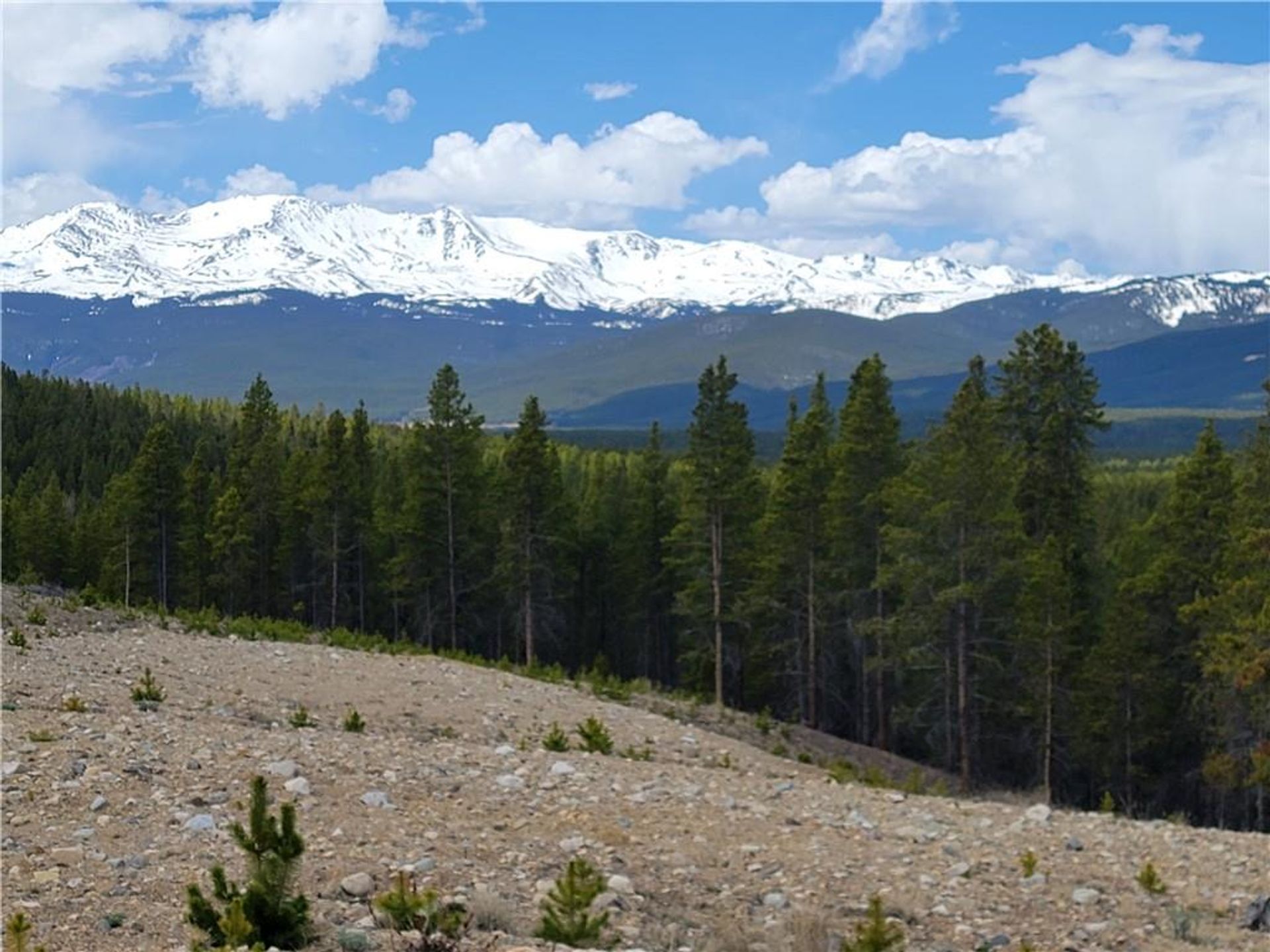 土地 在 Leadville, Colorado 11052682