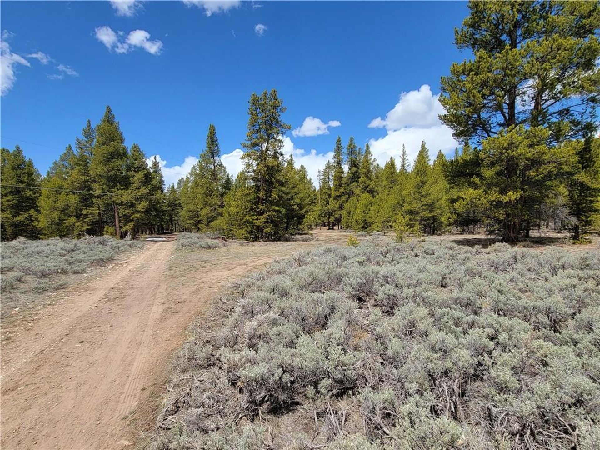 Land in Leadville, Colorado 11052682