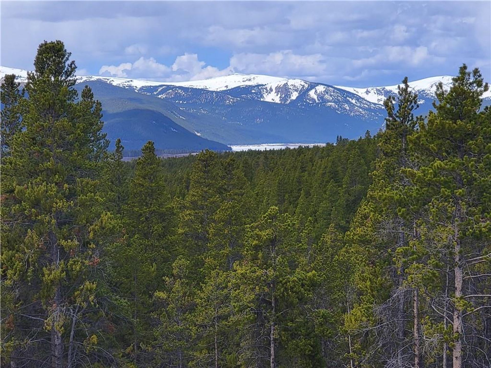 土地 在 Leadville, Colorado 11052682