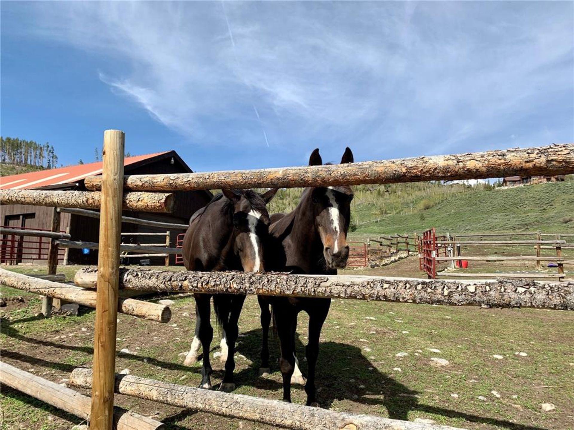 الأرض في Silverthorne, Colorado 11052731