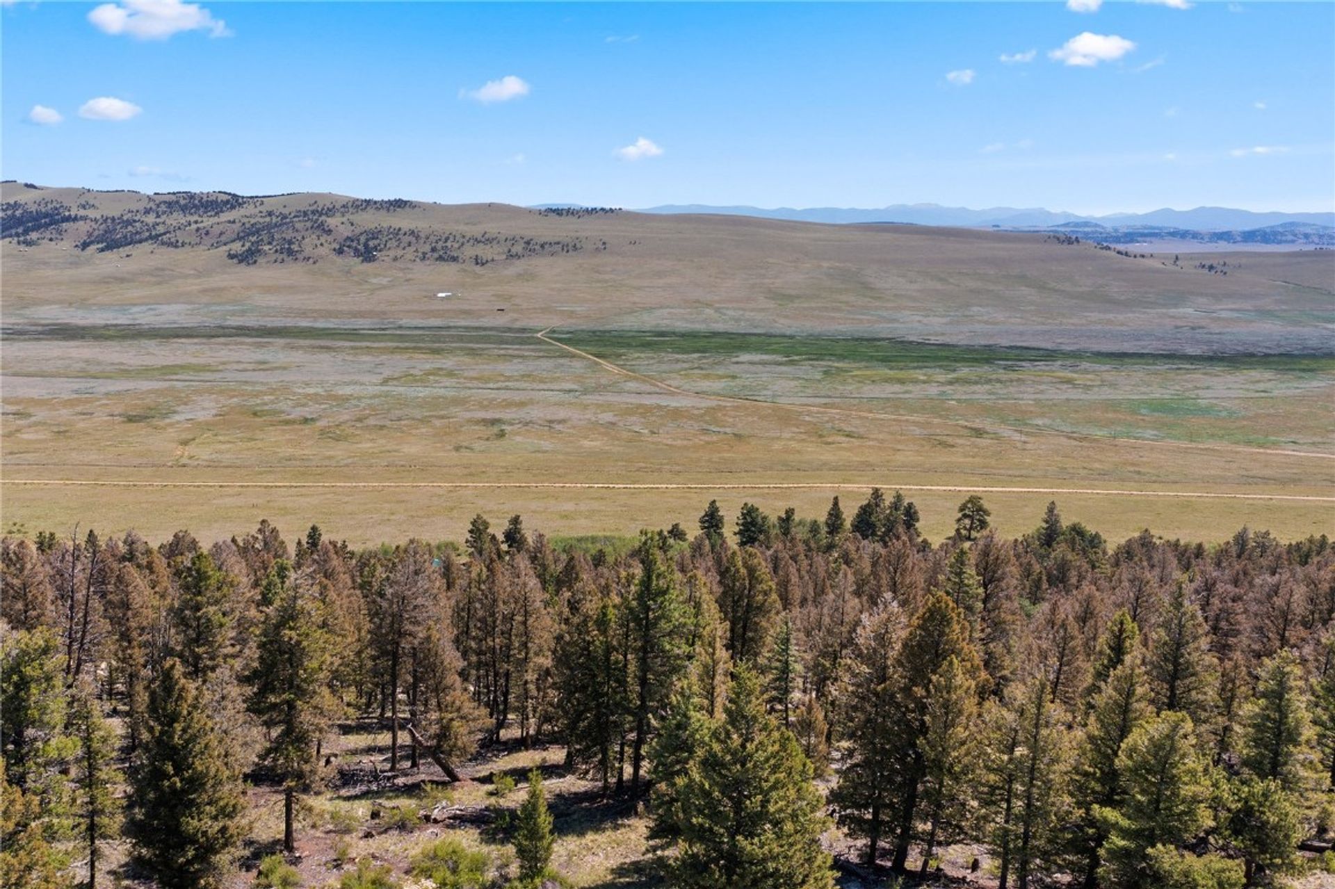 Maa sisään Buena Vista, Colorado 11052737