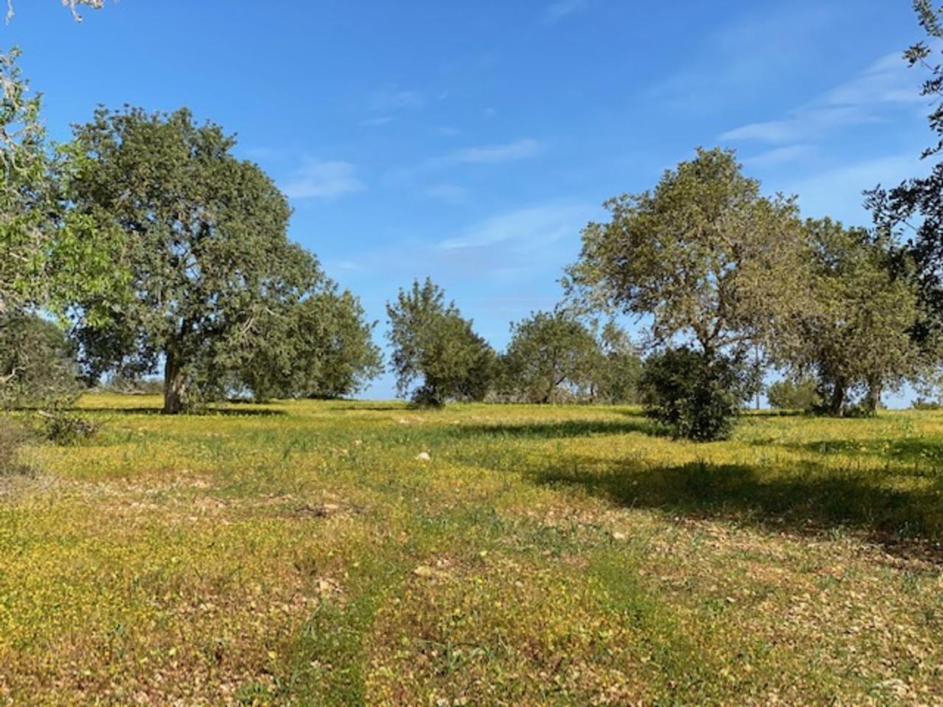 loger dans Porreras, Balearic Islands 11052793