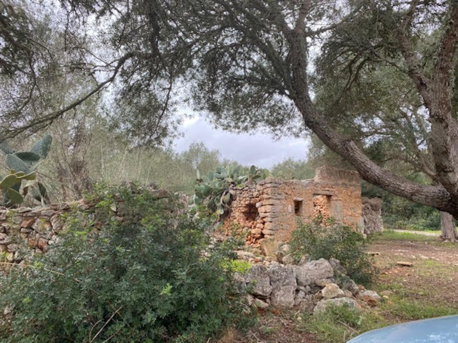 жилой дом в Cala Marçal, Illes Balears 11052804