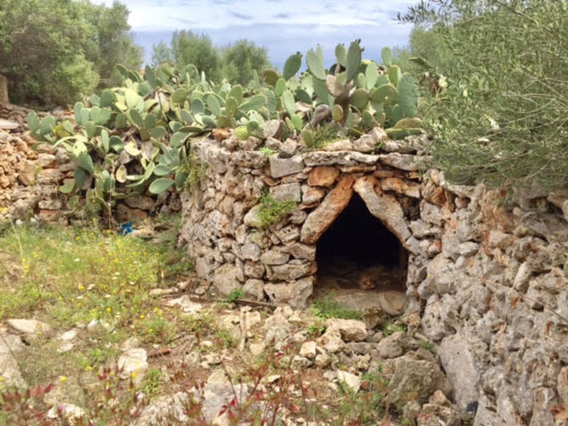 жилой дом в Cala Marçal, Illes Balears 11052804