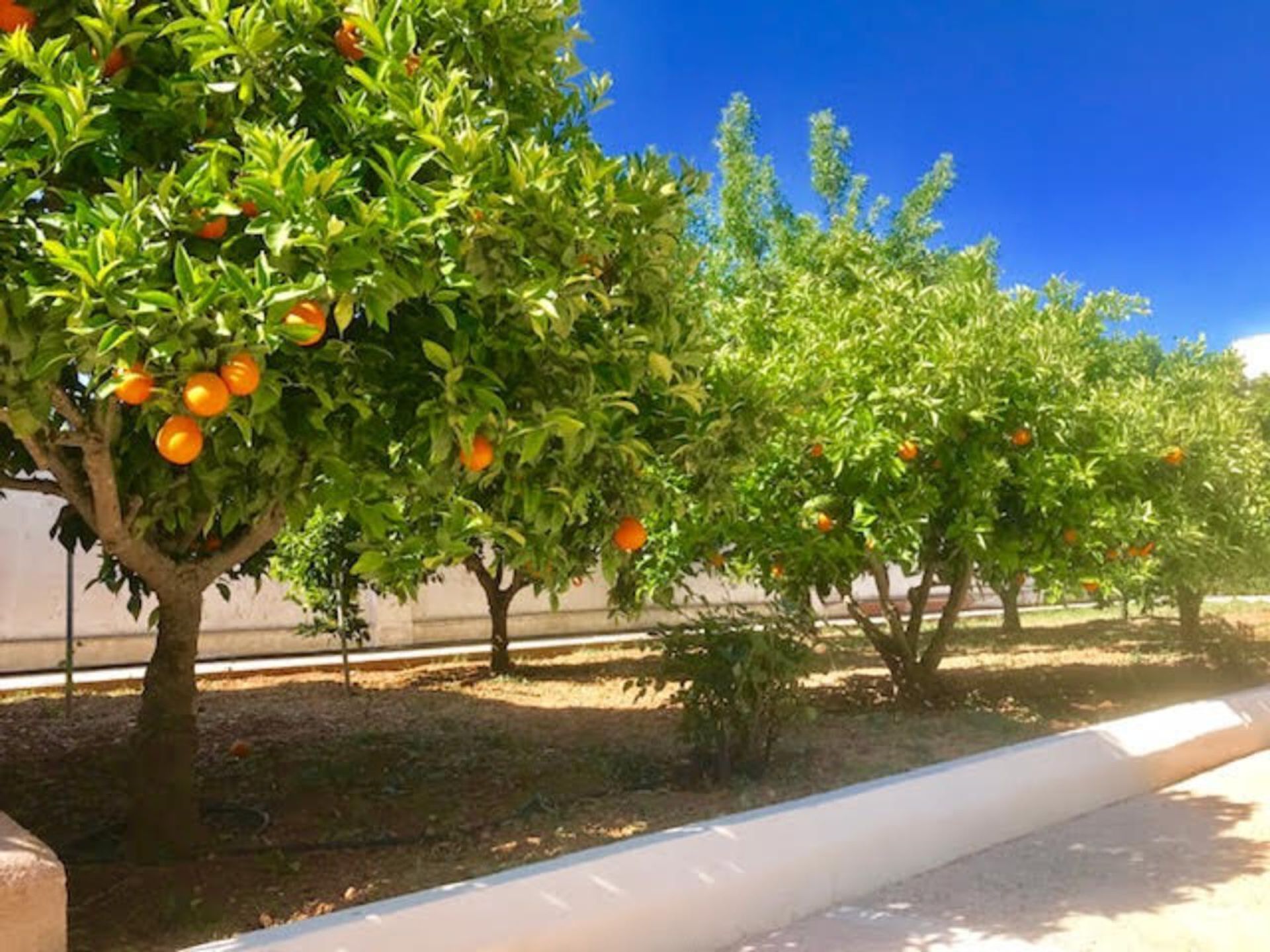 loger dans Porreres, Balearic Islands 11052805