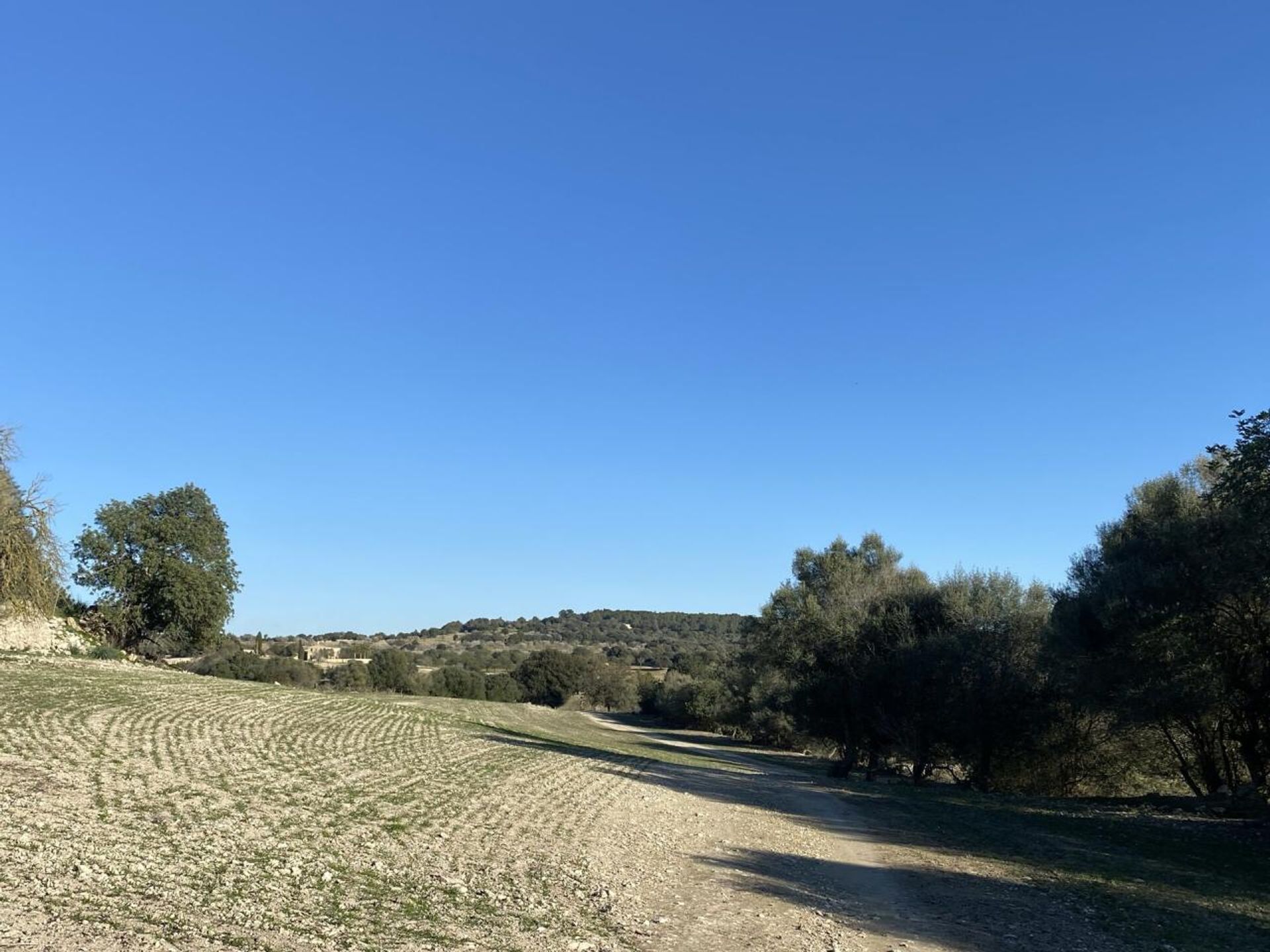 Land im Montuïri, Balearic Islands 11052808