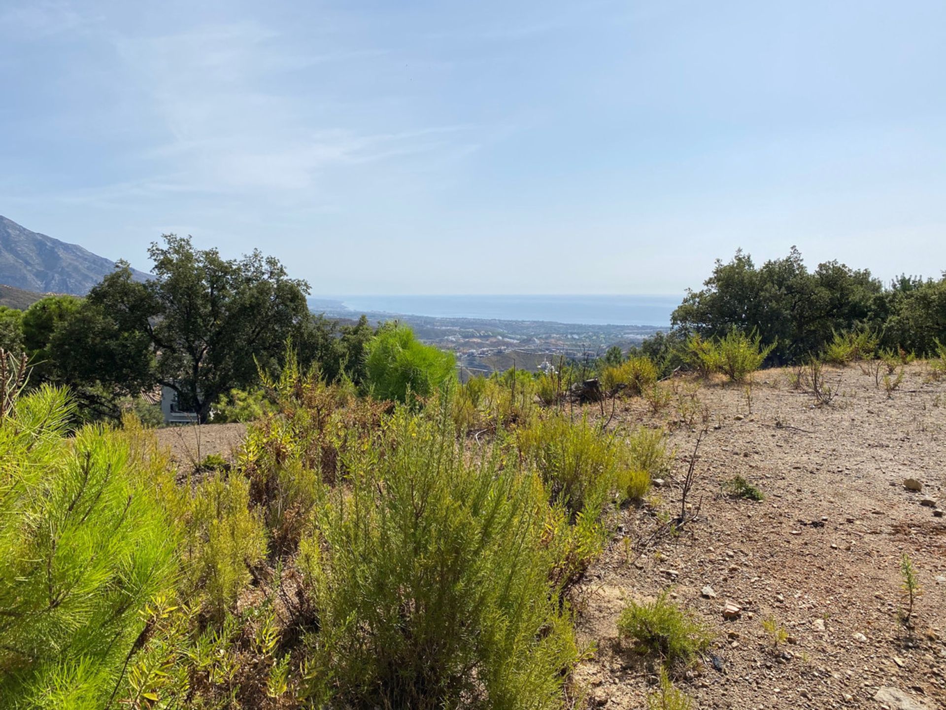 Tierra en marbella, Andalucía 11053005