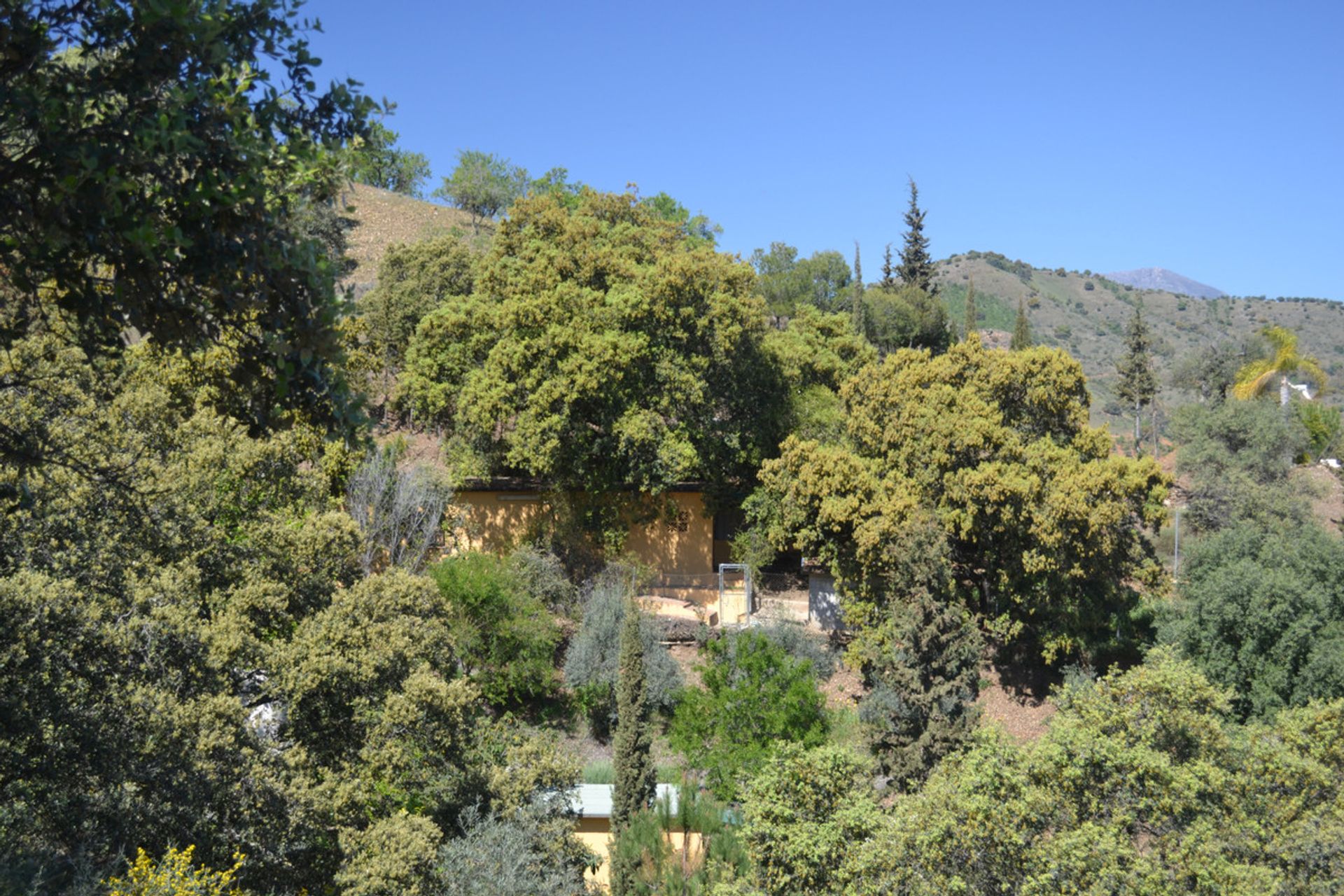 casa en Coín, Andalusia 11053143