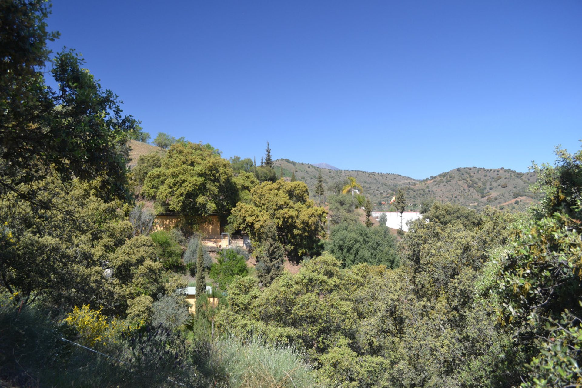 casa en Coín, Andalusia 11053143