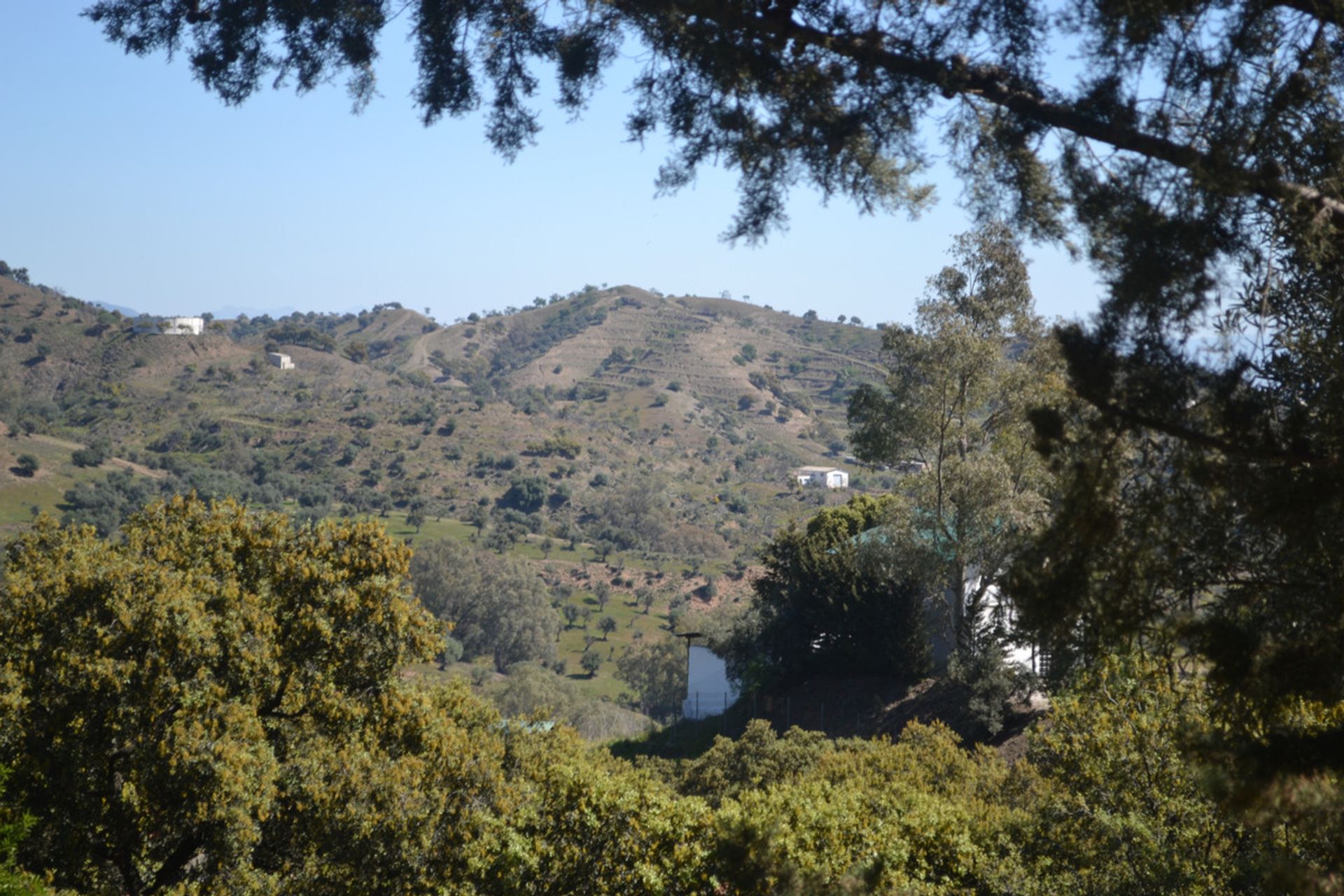 casa en Coín, Andalusia 11053143