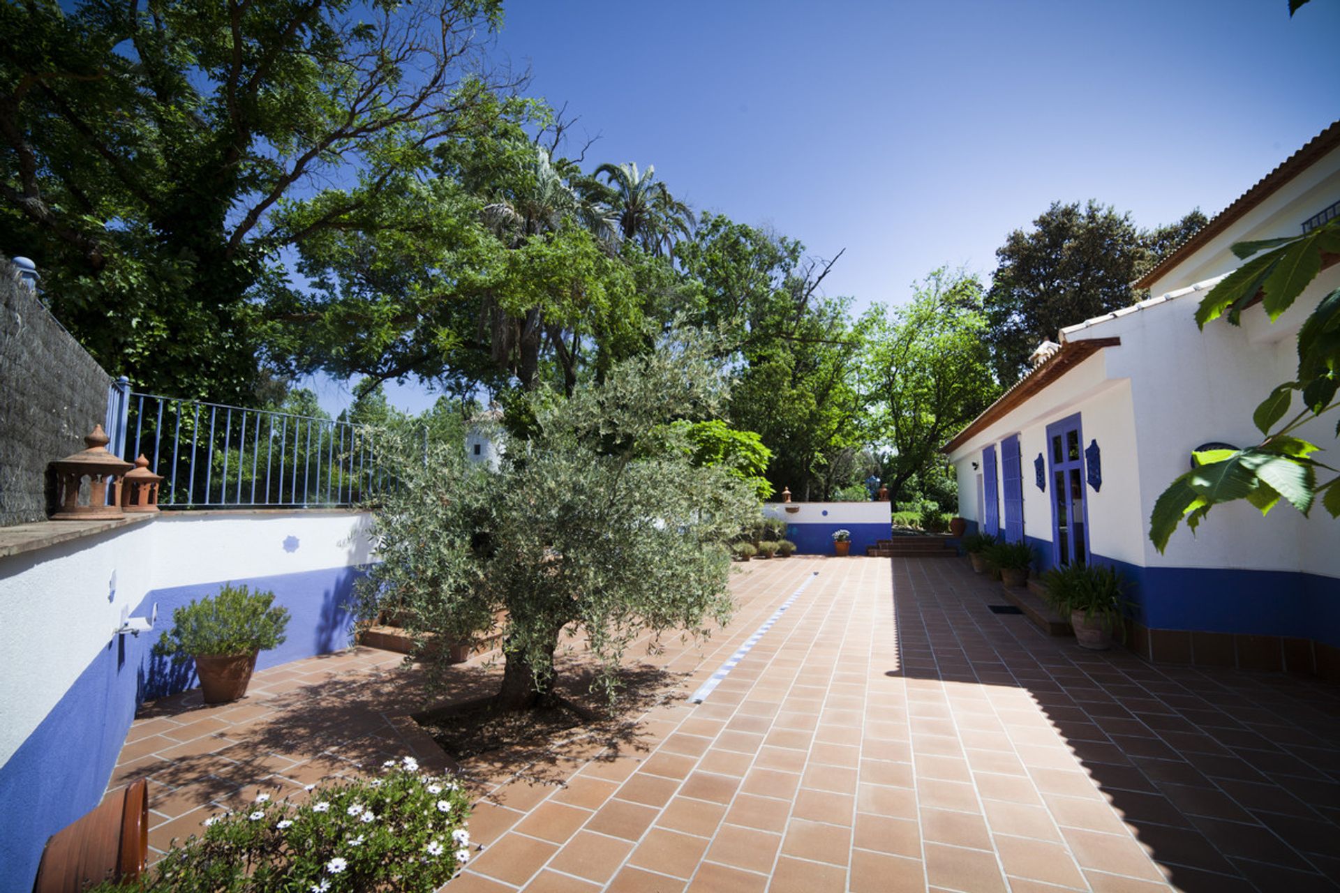 Huis in Archidona, Andalusia 11053189