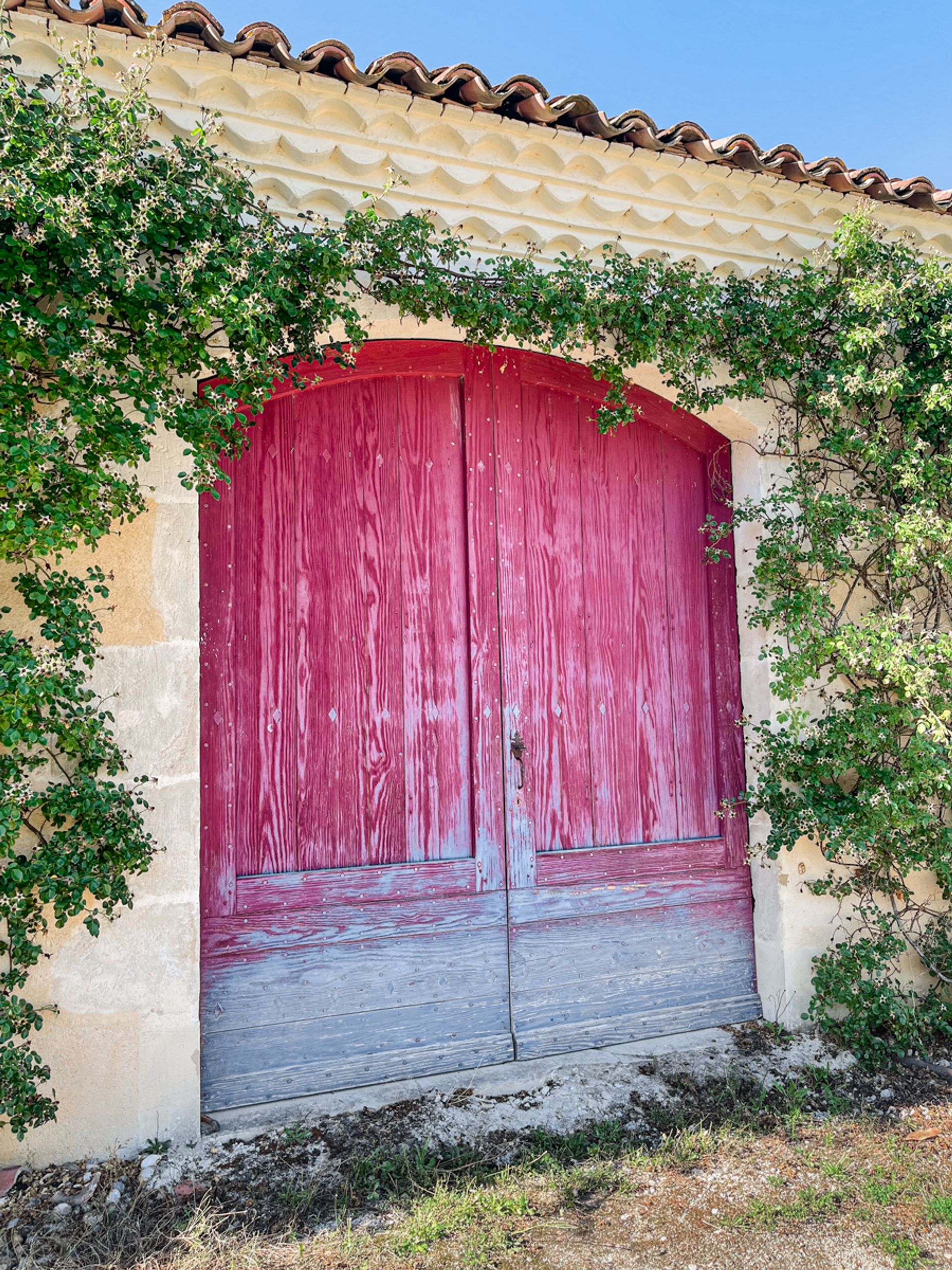 सम्मिलित में Auch, Occitanie 11053214