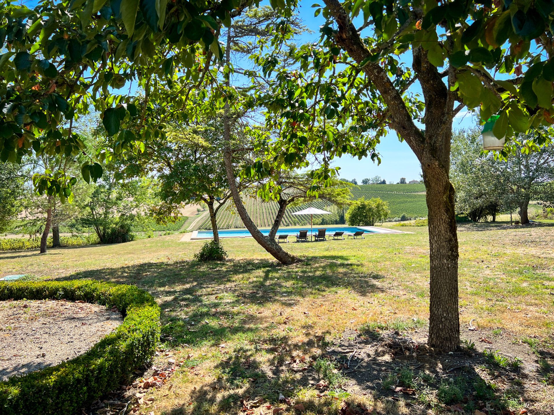 House in Condom, Occitanie 11053215