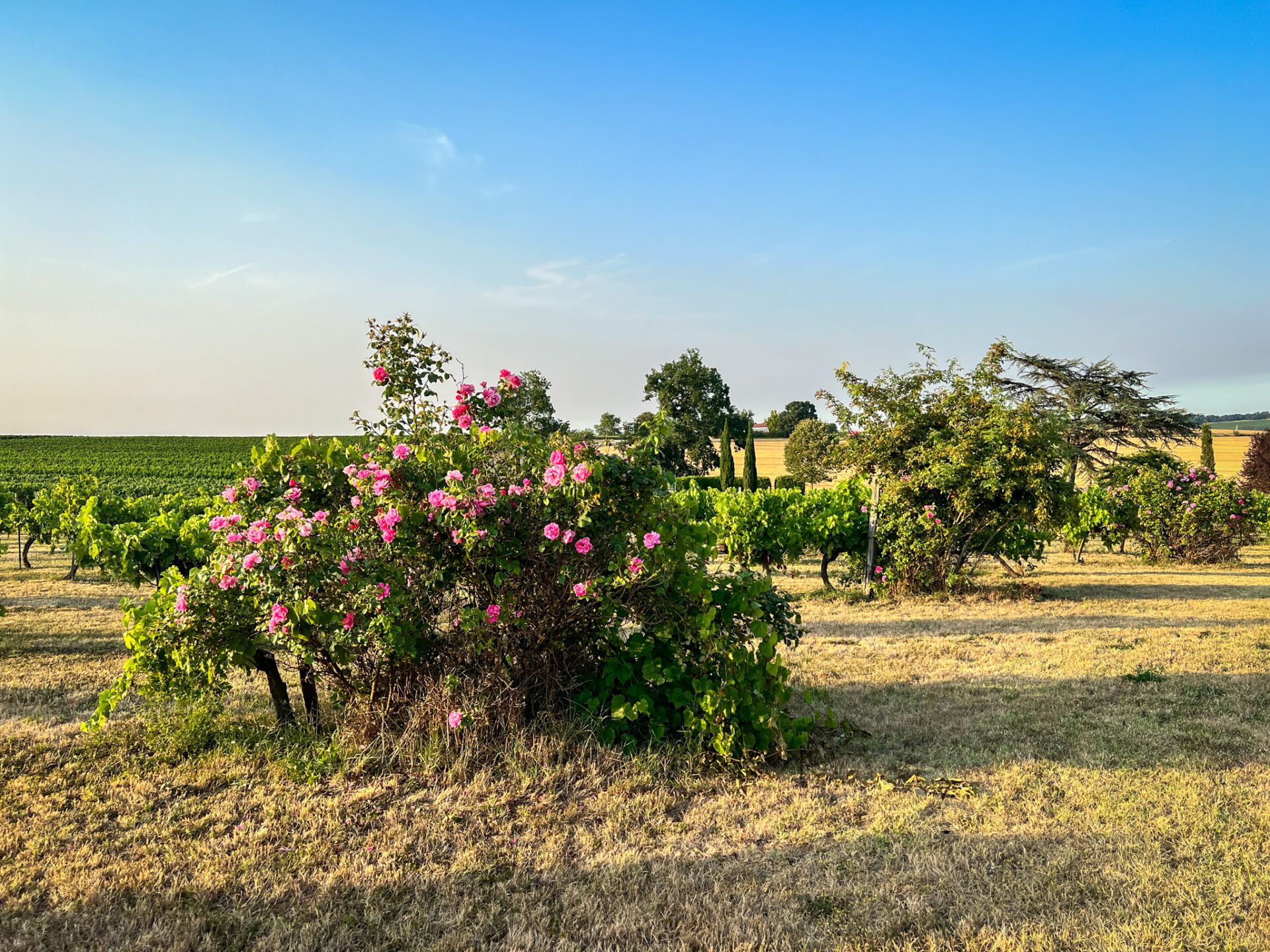 Rumah di Condom, Occitanie 11053215