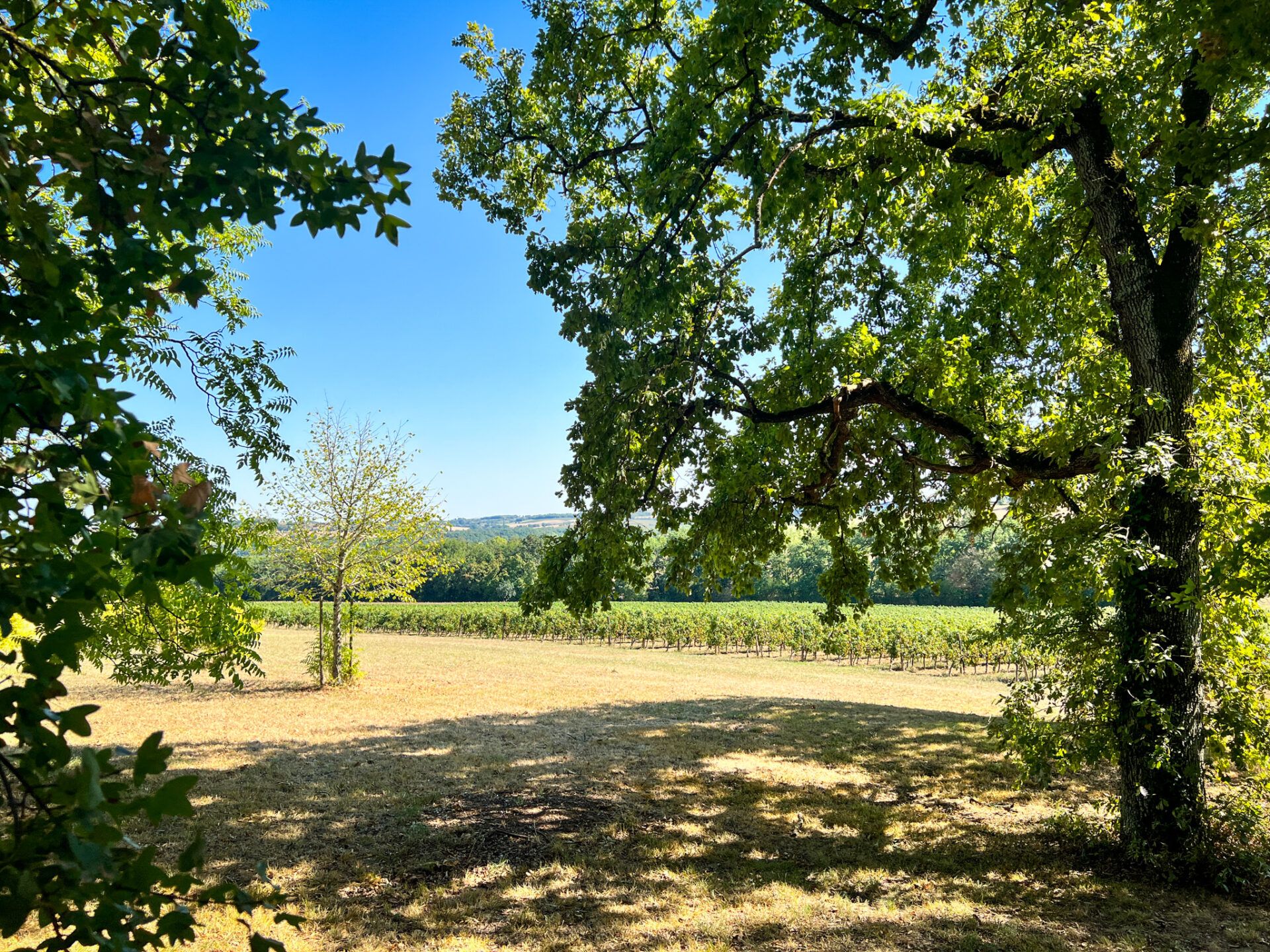 Hus i Condom, Occitanie 11053215