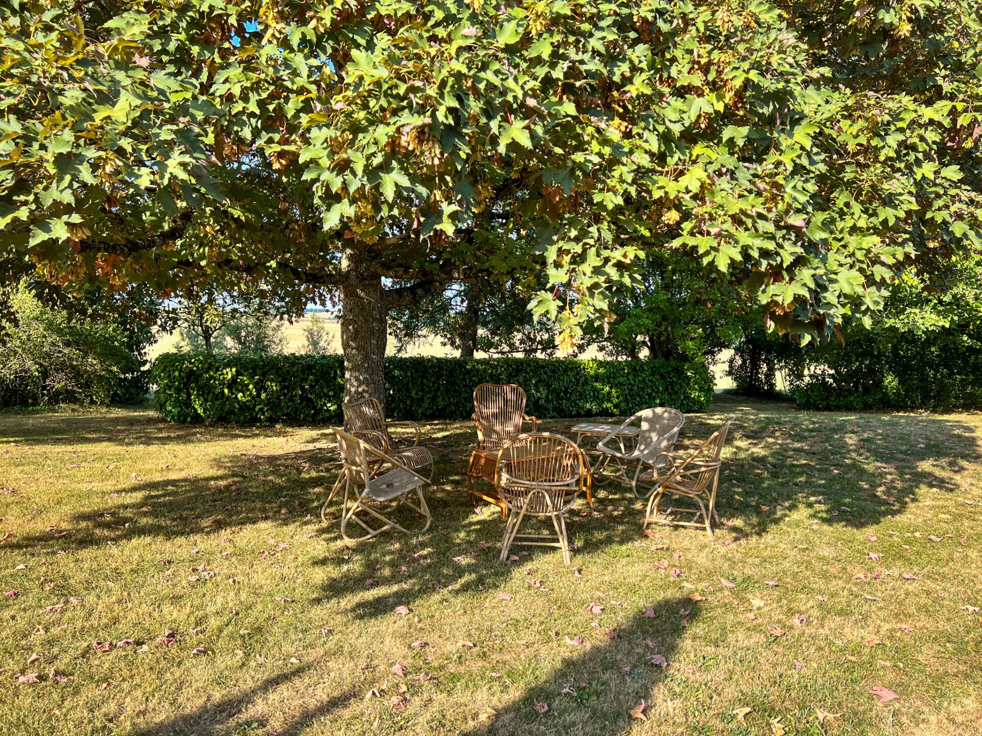 House in Condom, Occitanie 11053215