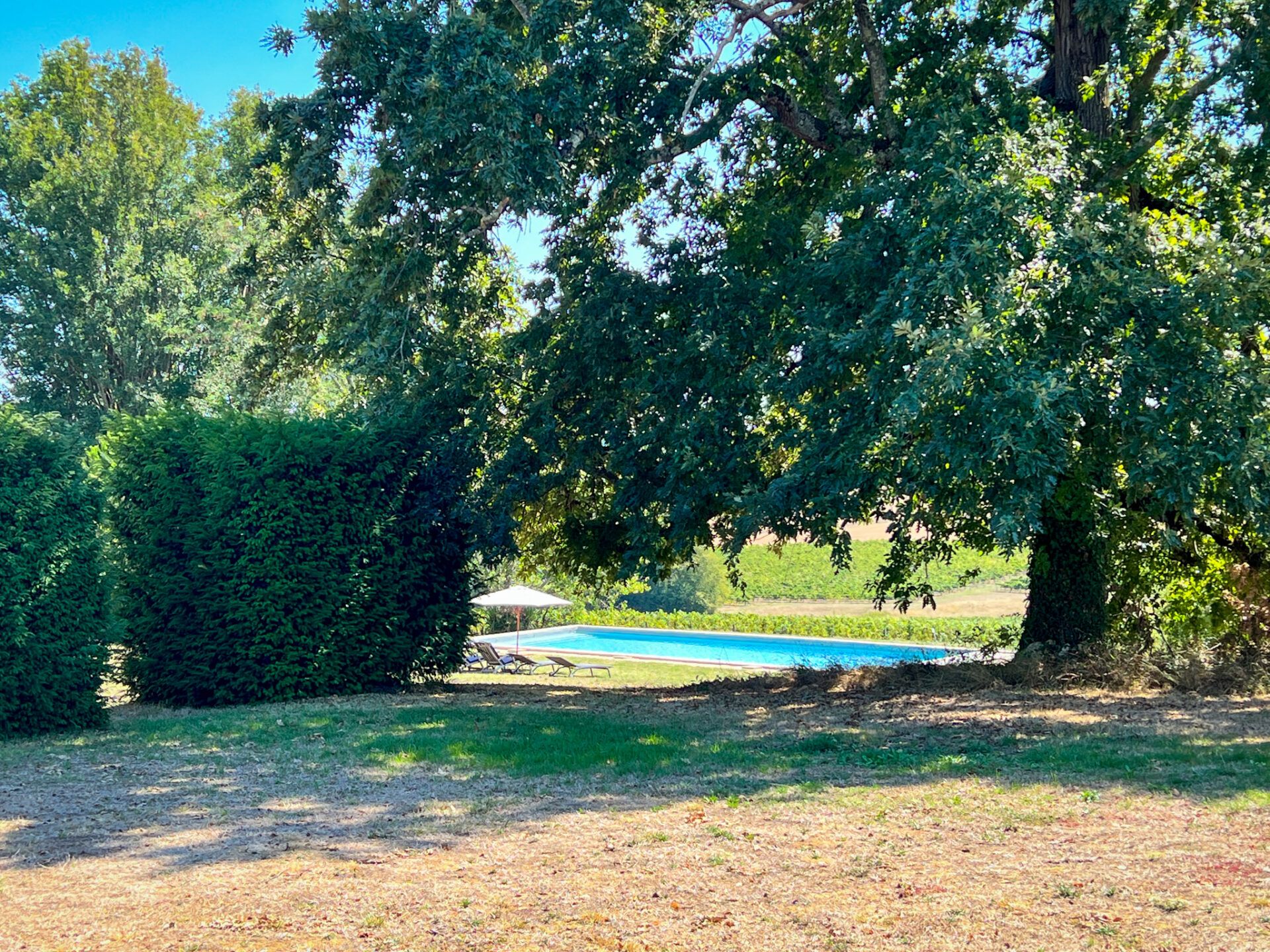 House in Condom, Occitanie 11053215