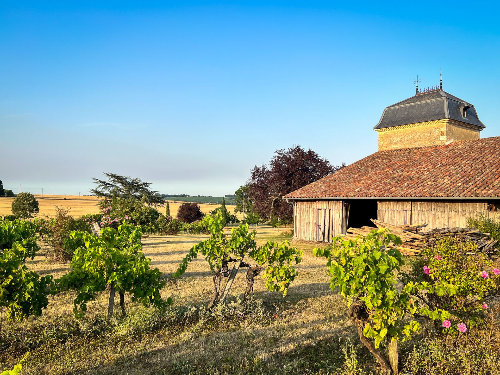 Dom w Condom, Occitanie 11053215