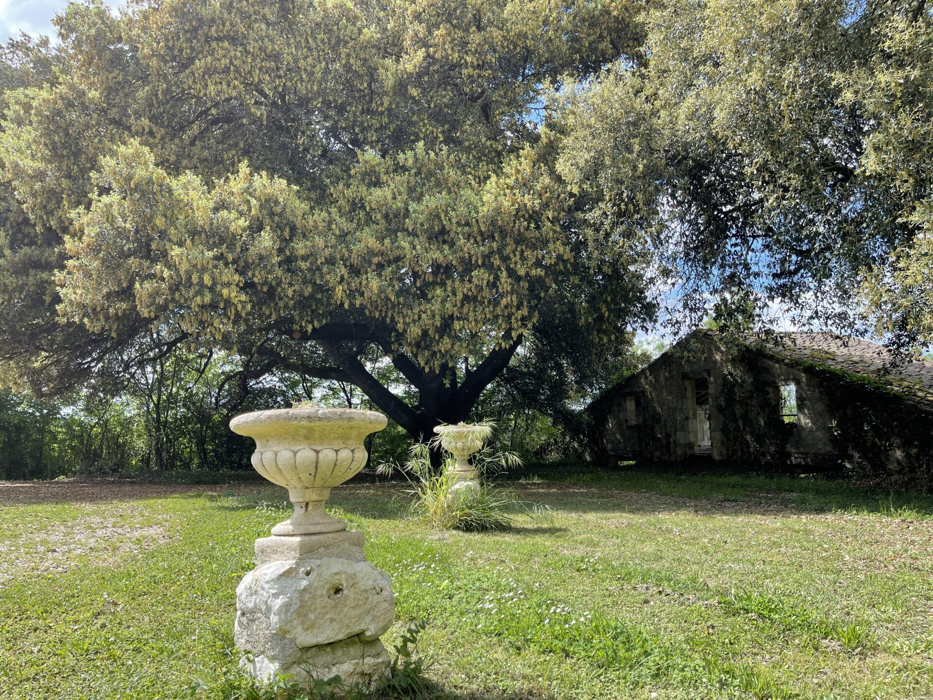 Casa nel Montréal, Occitanie 11053217