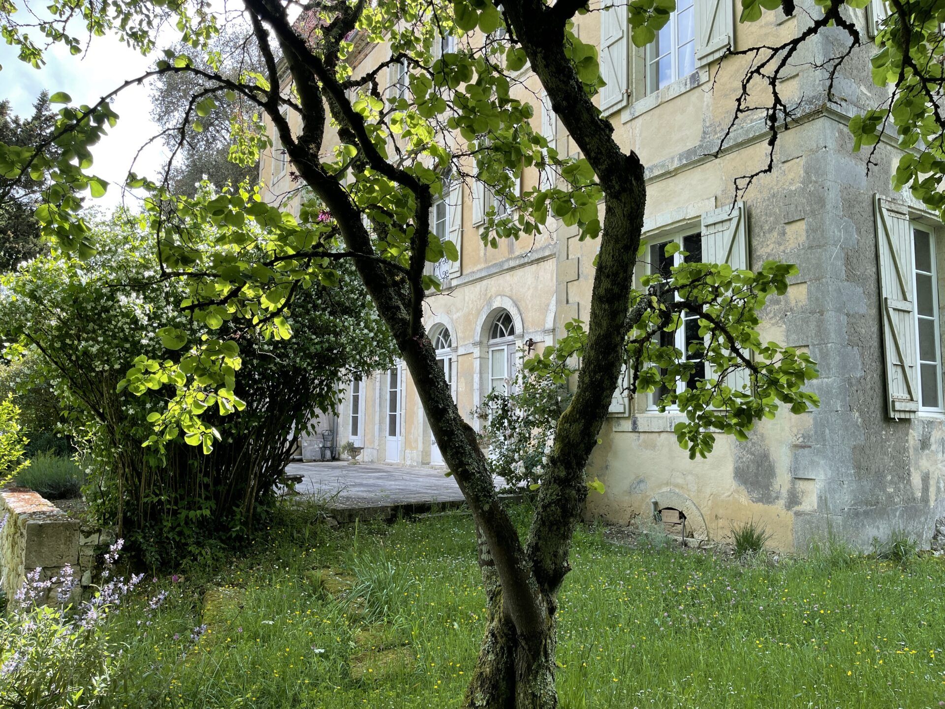 rumah dalam Montréal, Occitanie 11053217