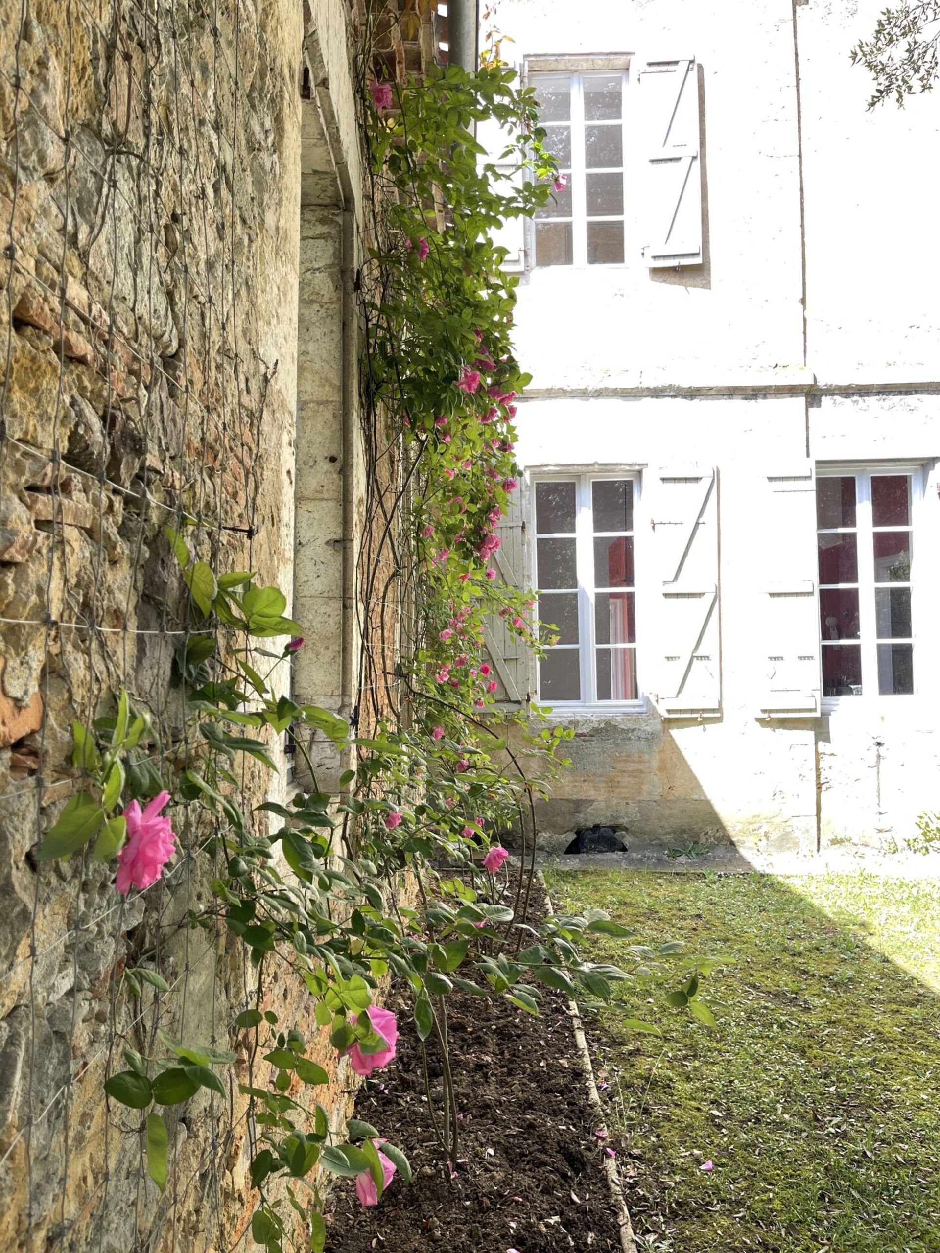 Casa nel Montréal, Occitanie 11053217