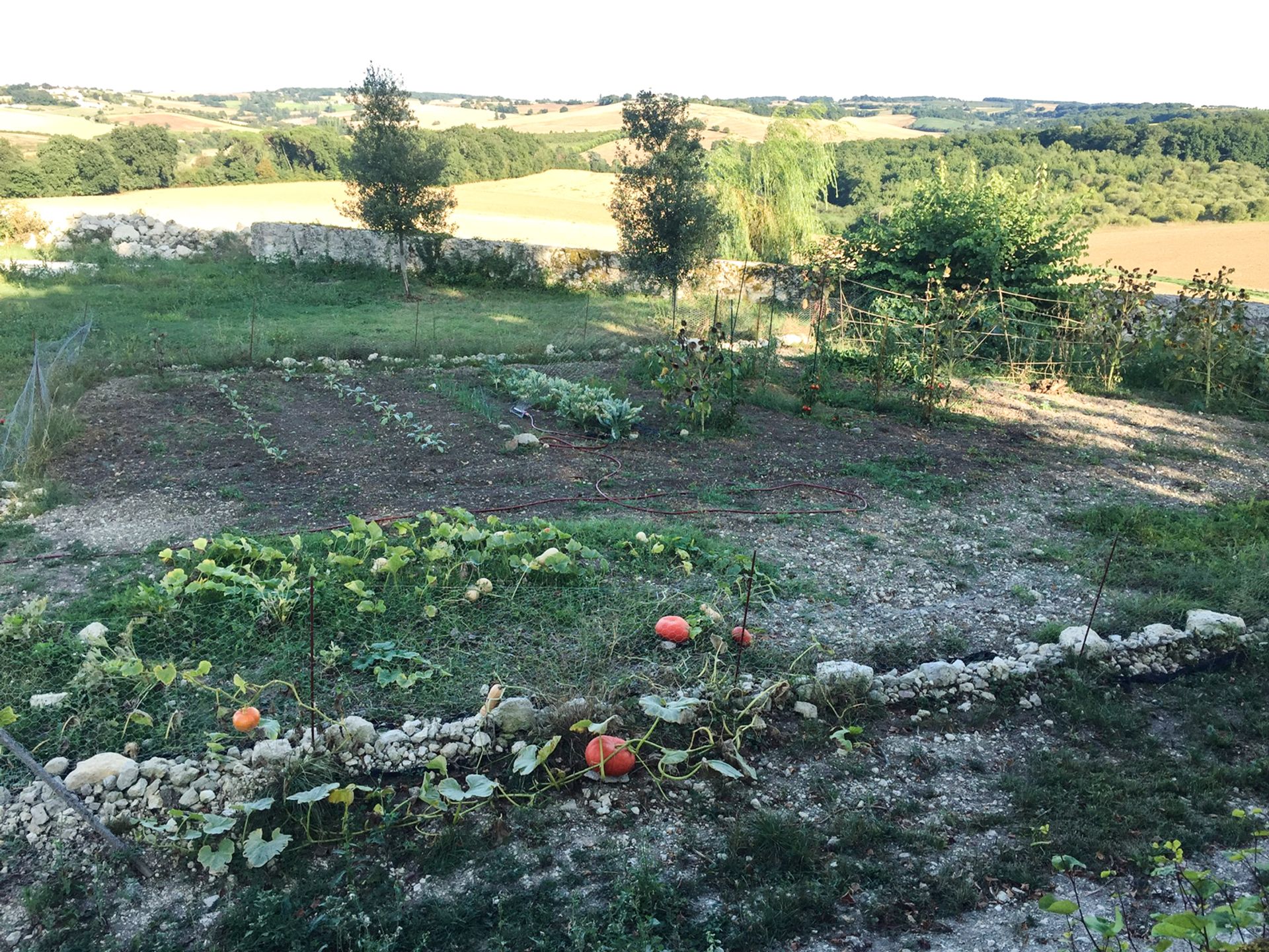 Casa nel Condom, Occitanie 11053219