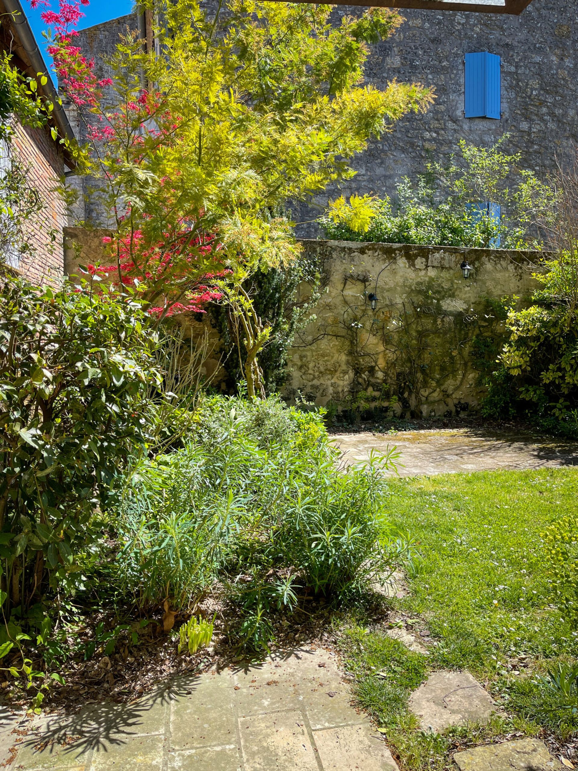 Borettslag i Lectoure, Occitanie 11053222