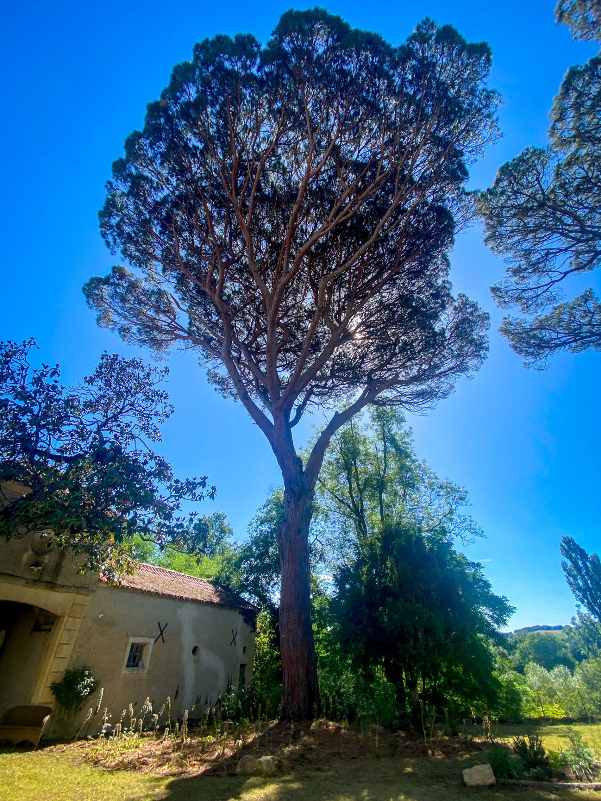 Osakehuoneisto sisään Valence-sur-Baïse, Occitanie 11053224