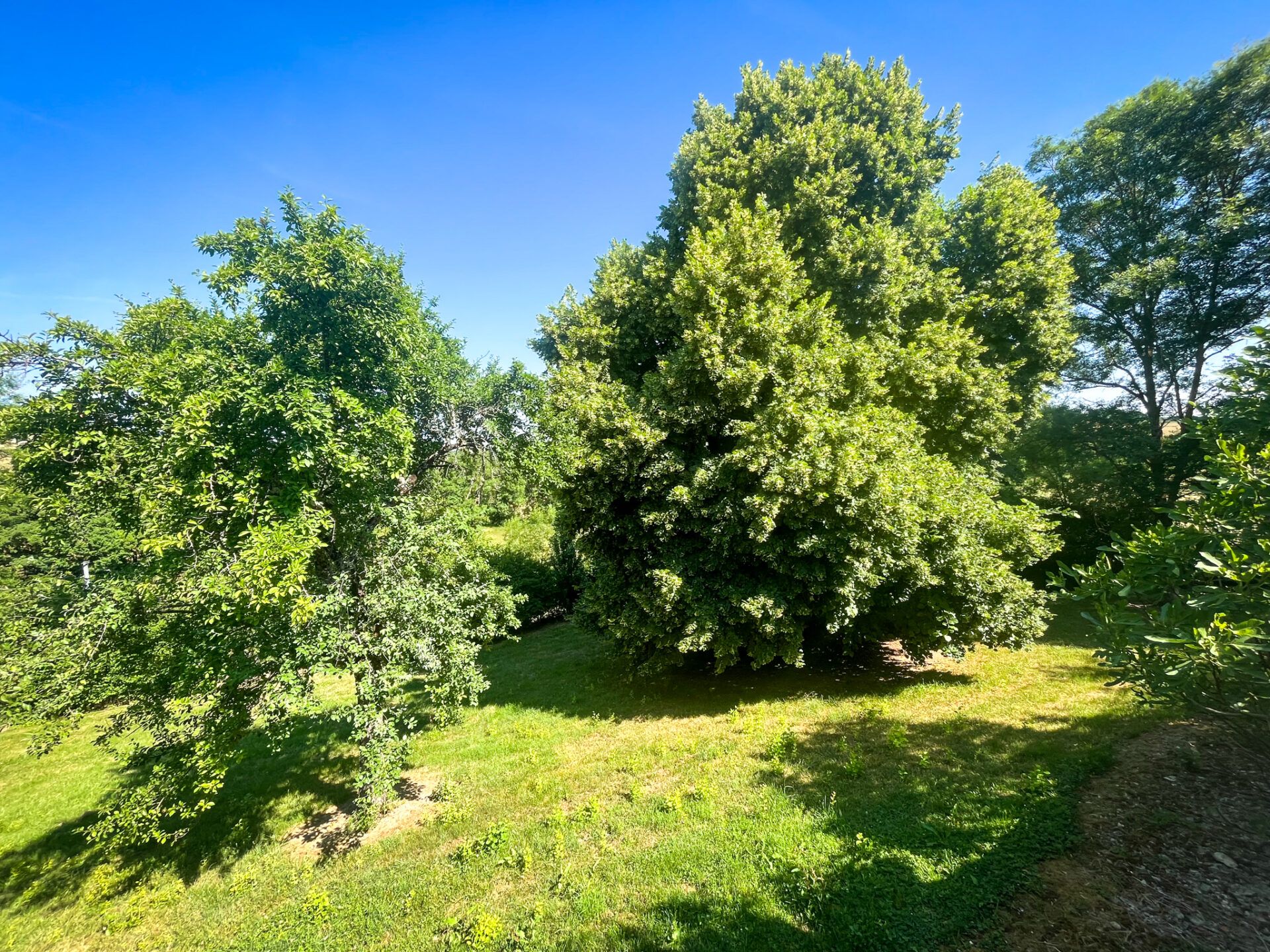 Condominium in Lectoure, Occitanie 11053226