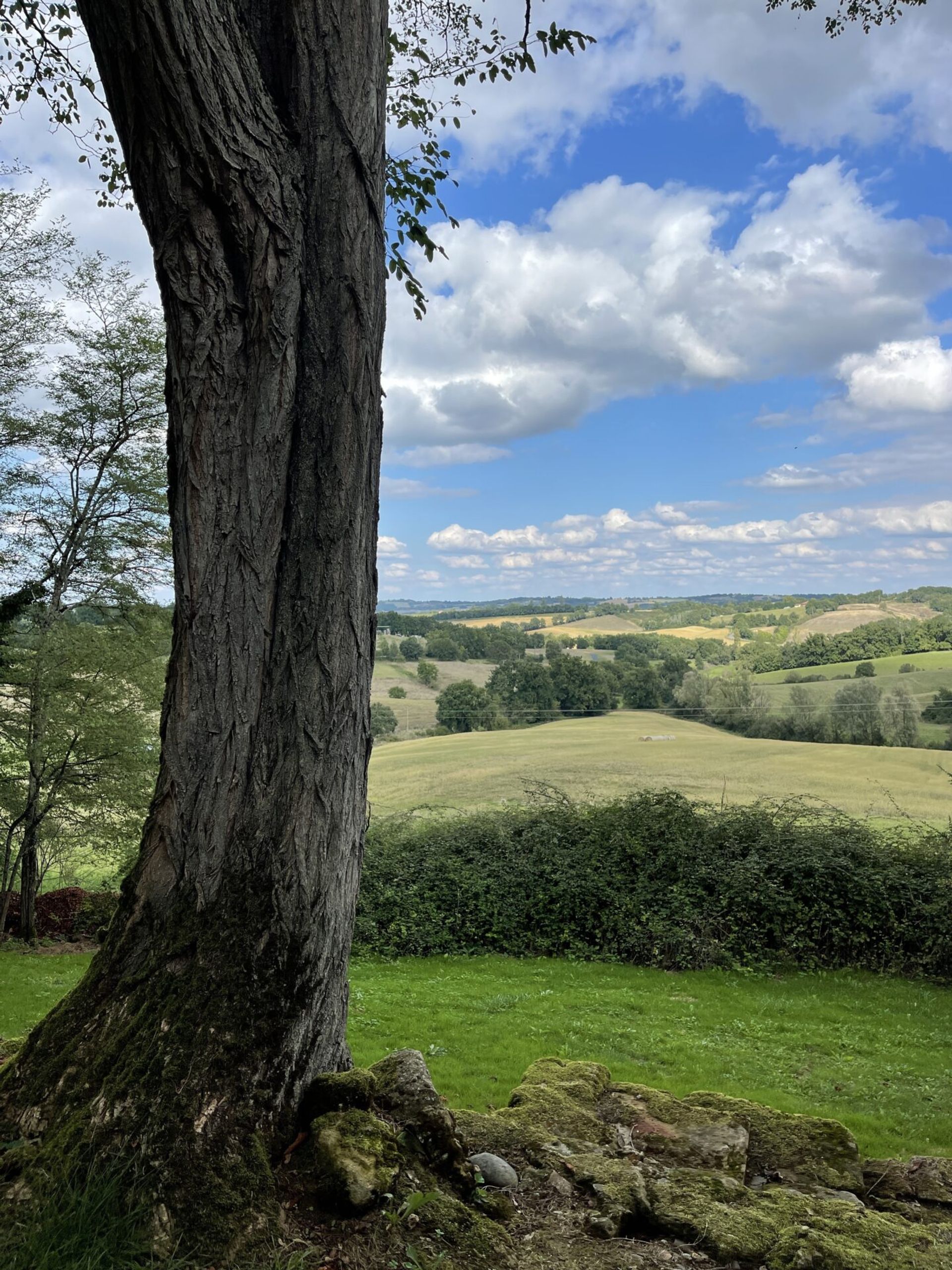 σπίτι σε Marciac, Occitanie 11053229