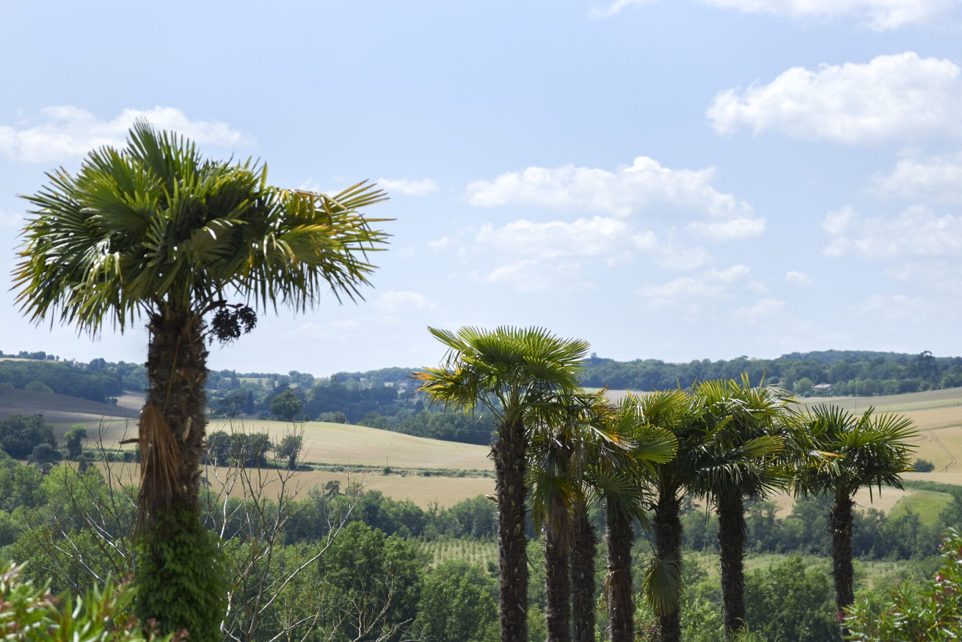 Condominium in Lectoure, Occitanie 11053231