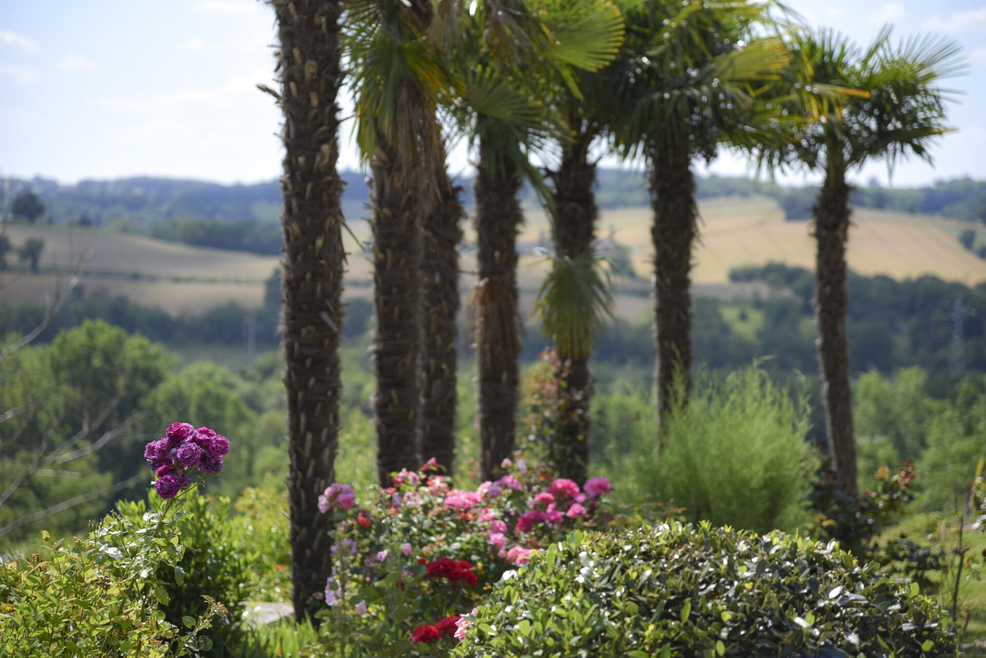 Квартира в Lectoure, Occitanie 11053231