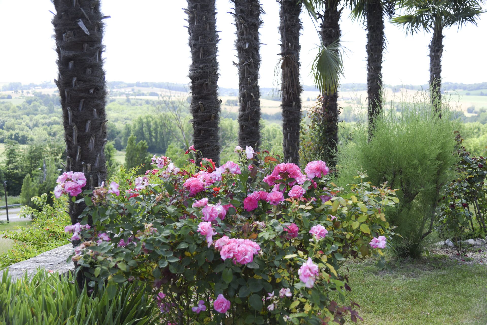 Συγκυριαρχία σε Lectoure, Occitanie 11053231