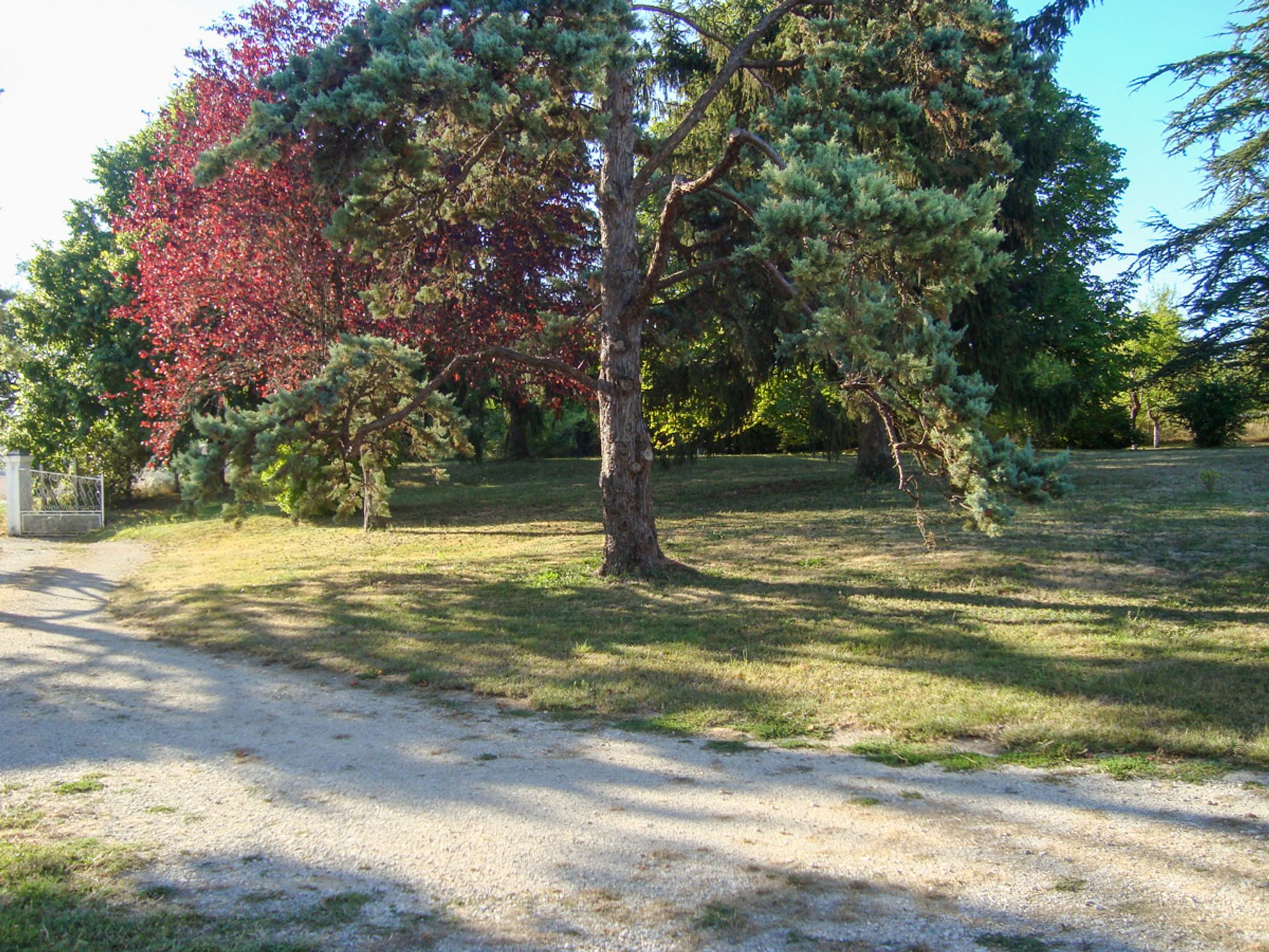 Condomínio no Nérac, Nouvelle-Aquitaine 11053234