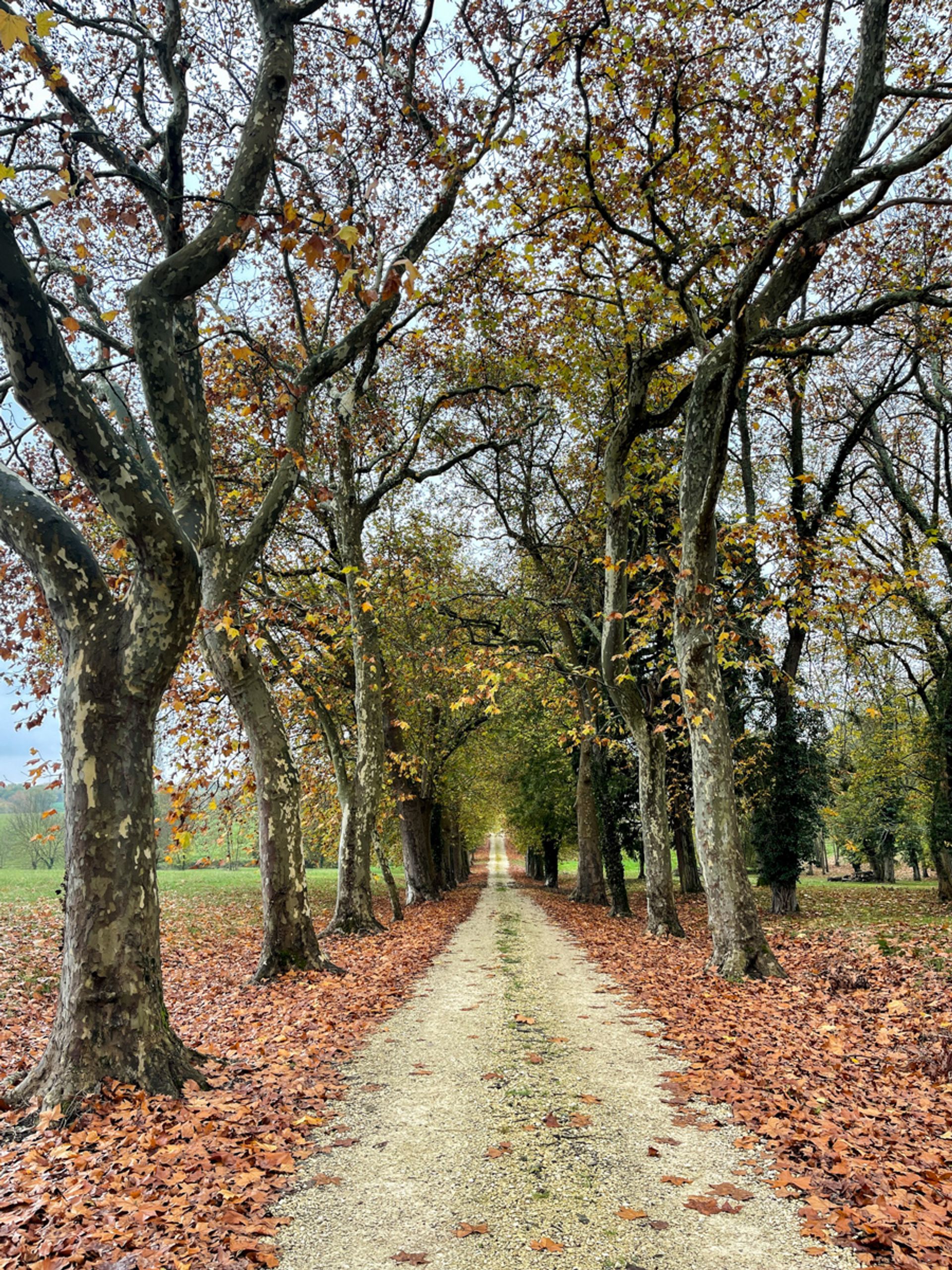 Condomínio no Vic-Fezensac, Occitanie 11053236