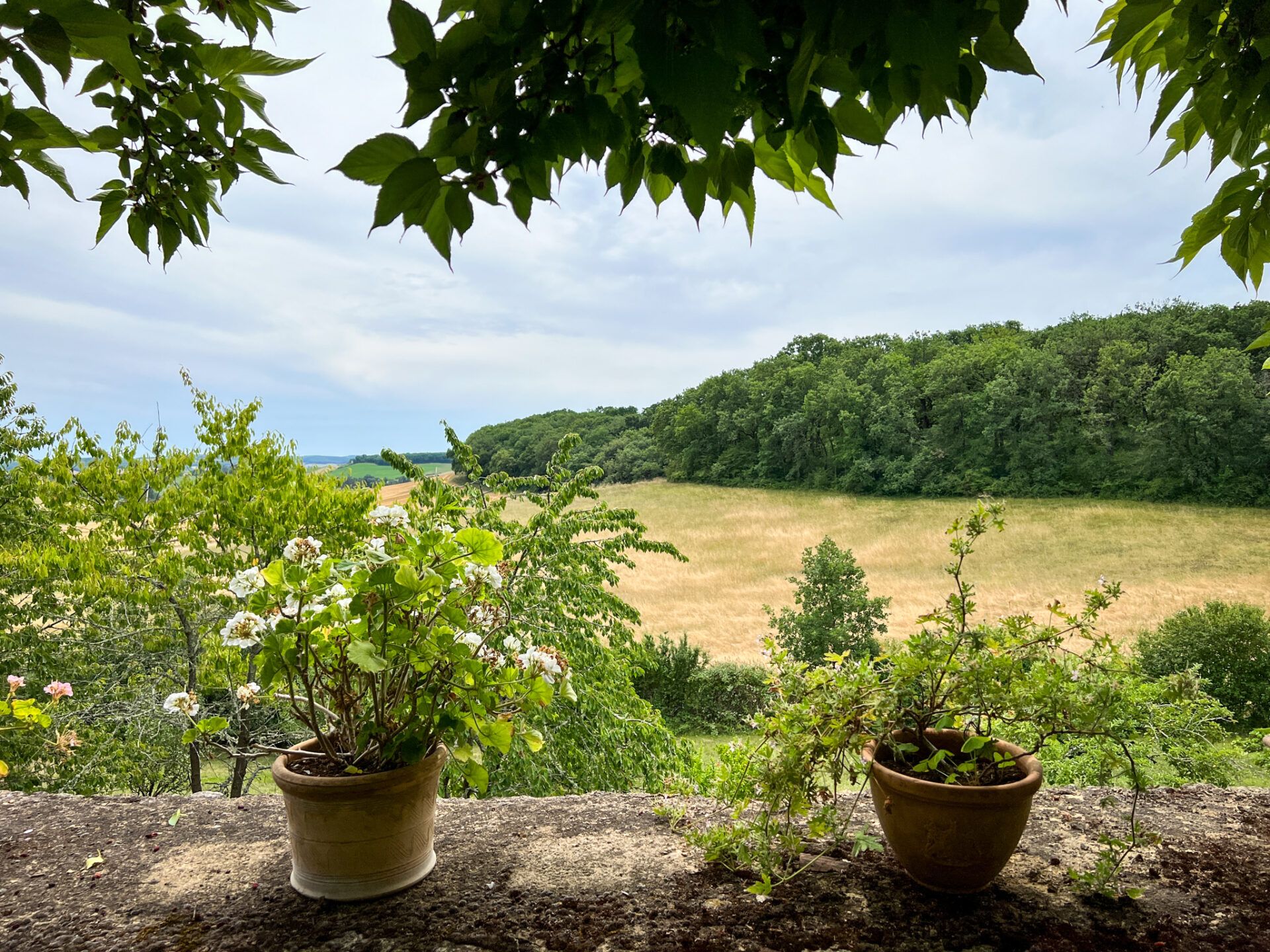 Квартира в Vic-Fezensac, Occitanie 11053237