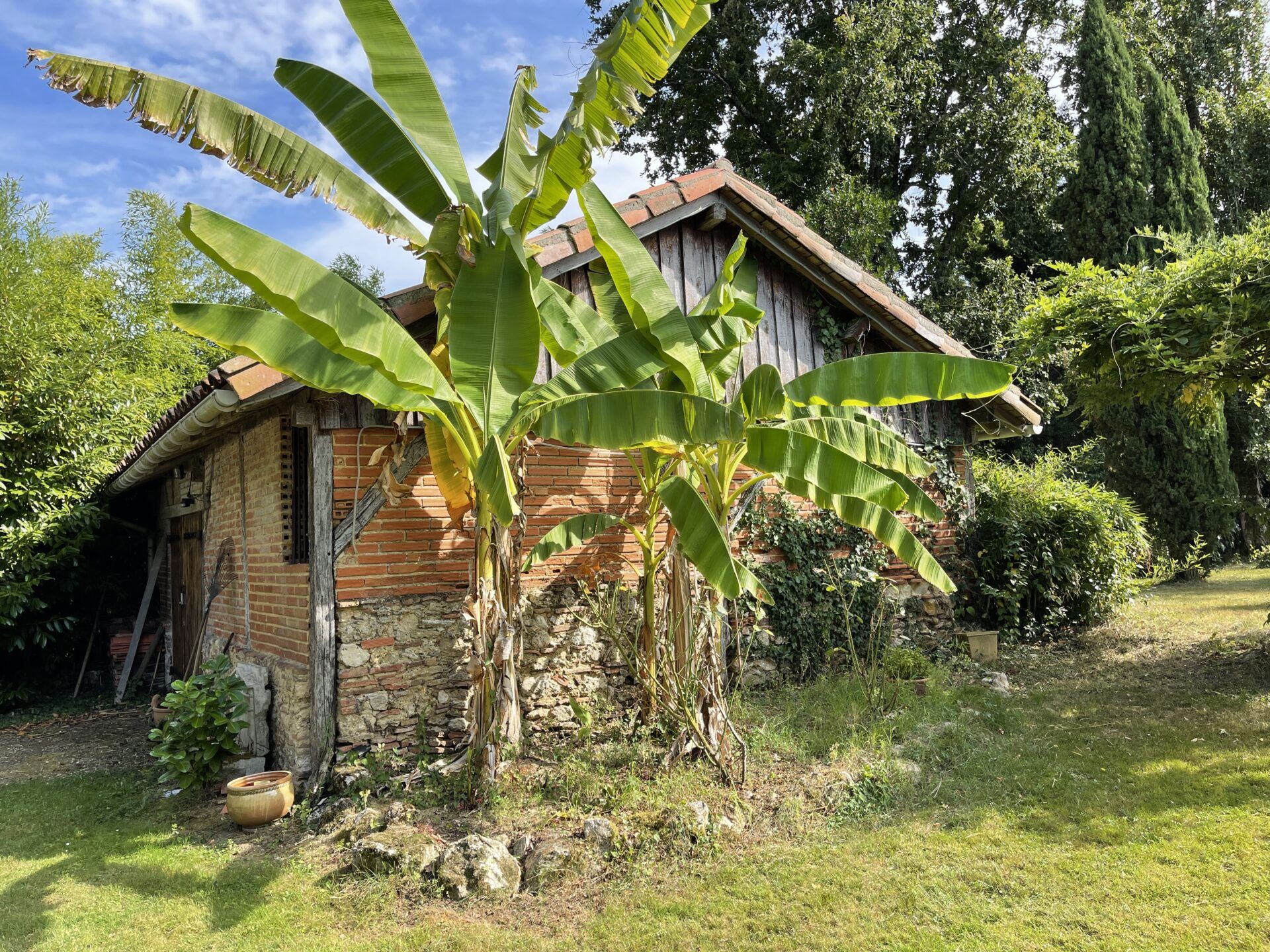 Ejerlejlighed i Cazaubon, Occitanie 11053246