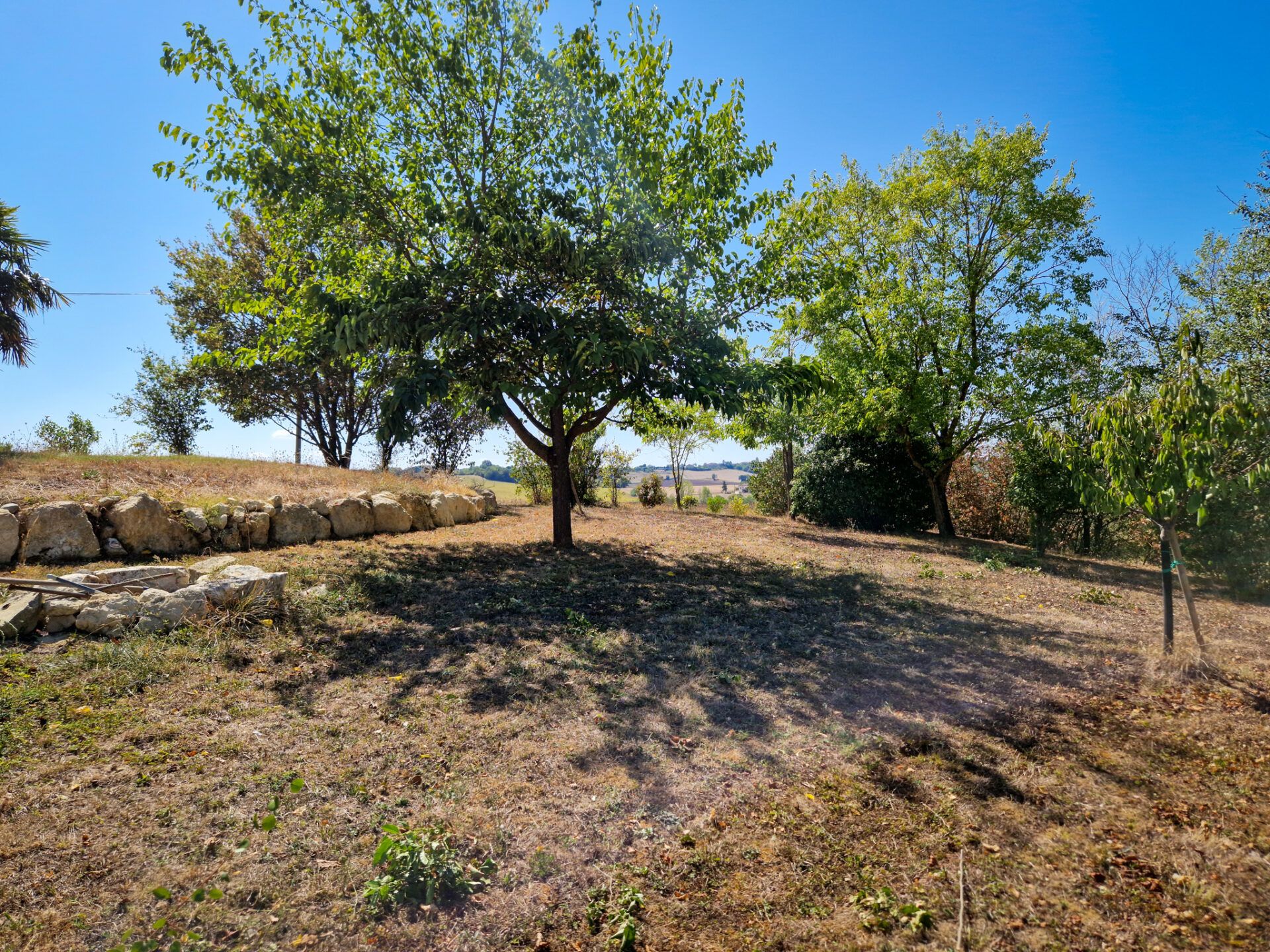 rumah dalam Lectoure, Occitanie 11053247