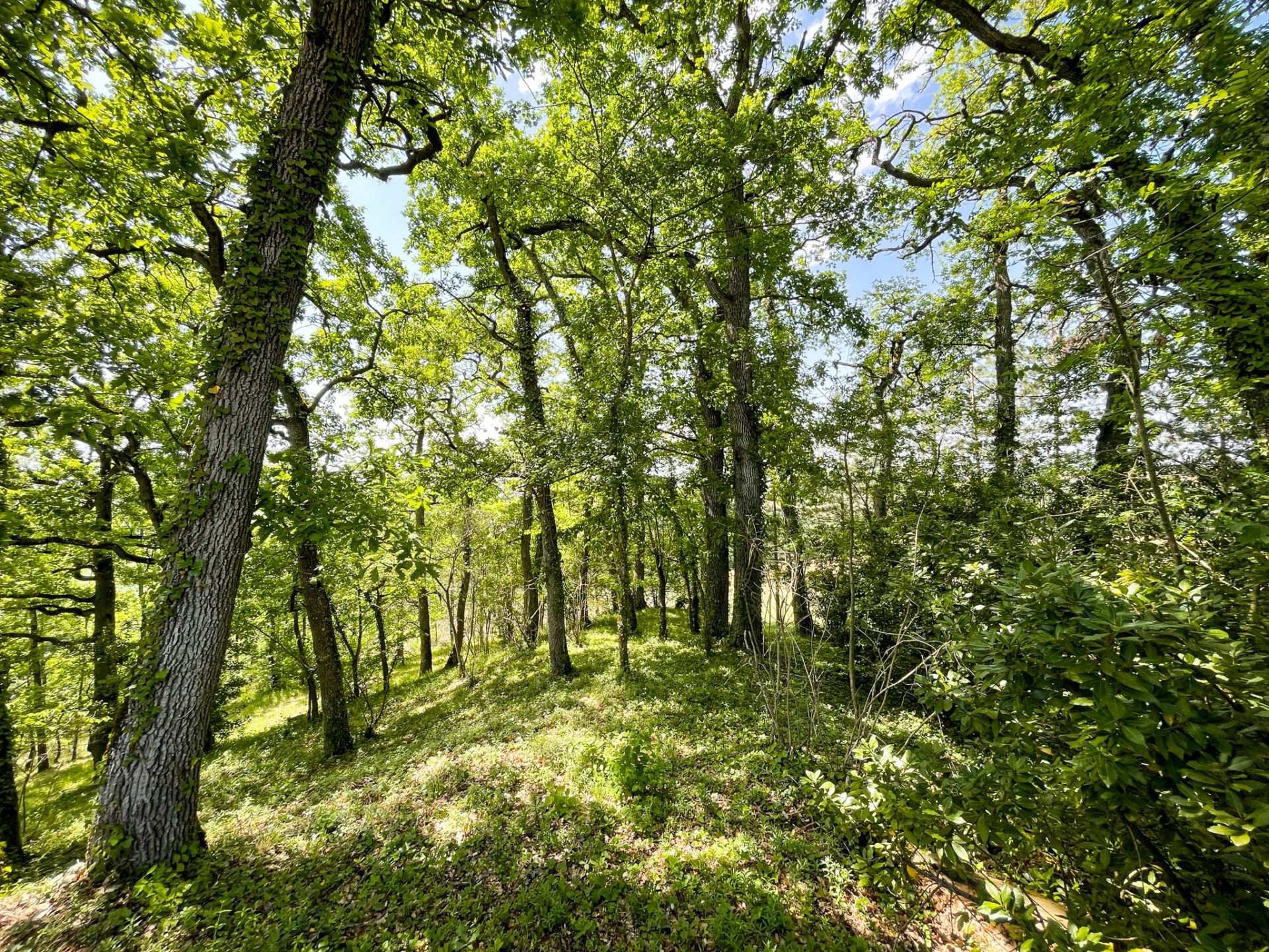 Huis in Auch, Occitanie 11053251