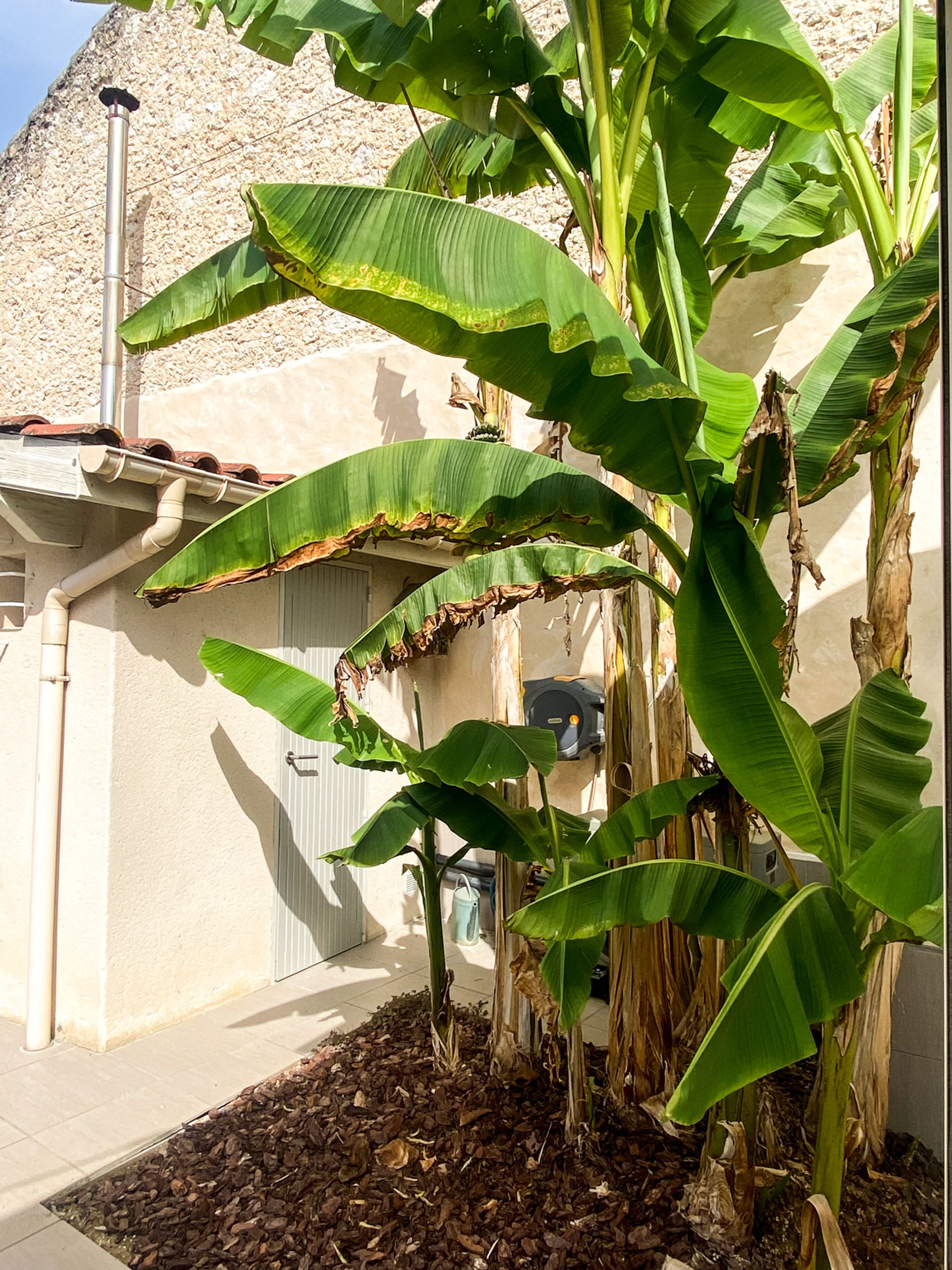 Condominium in Condom, Occitanie 11053260