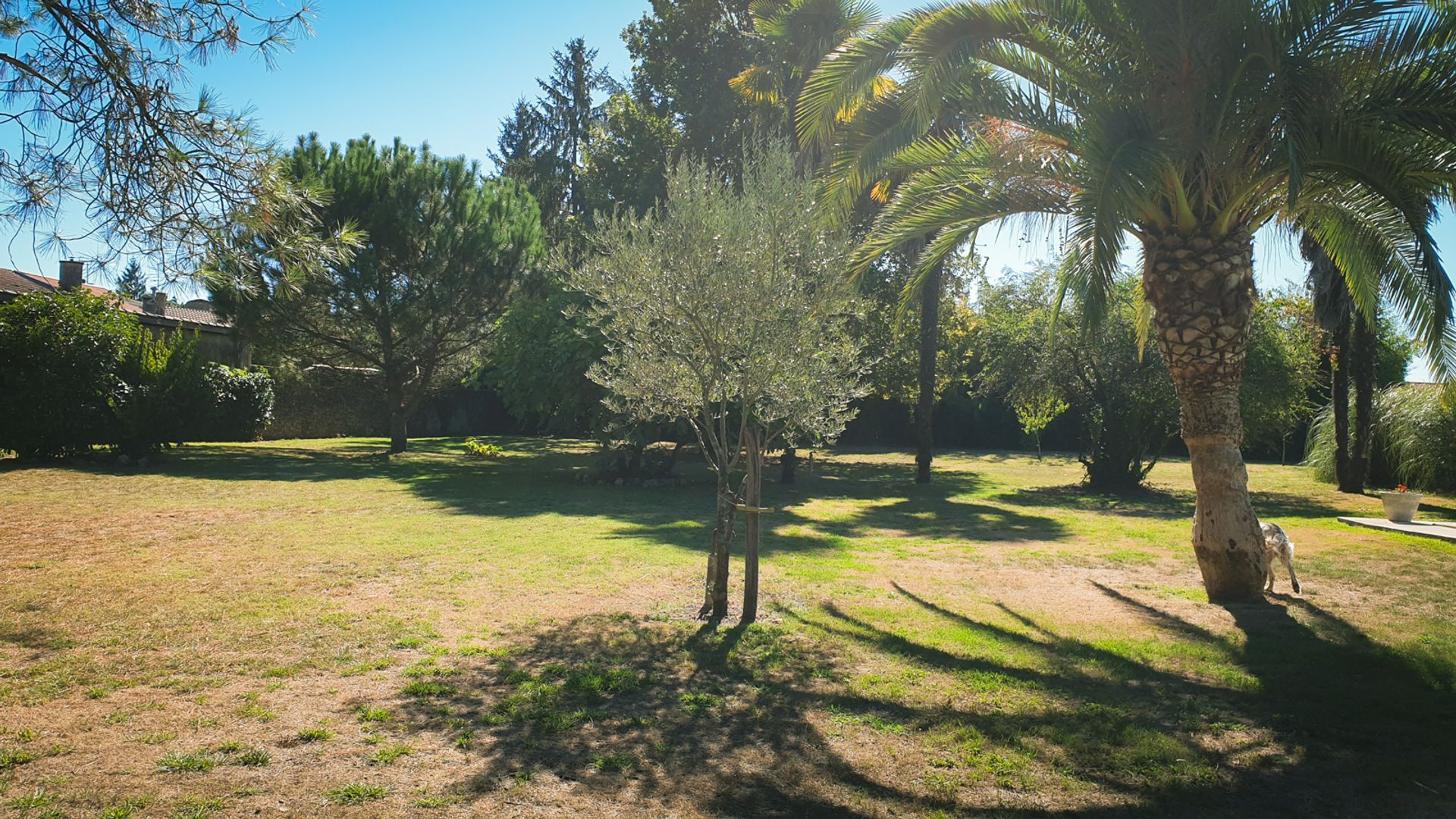 Casa nel Tartas, Nouvelle-Aquitaine 11053275