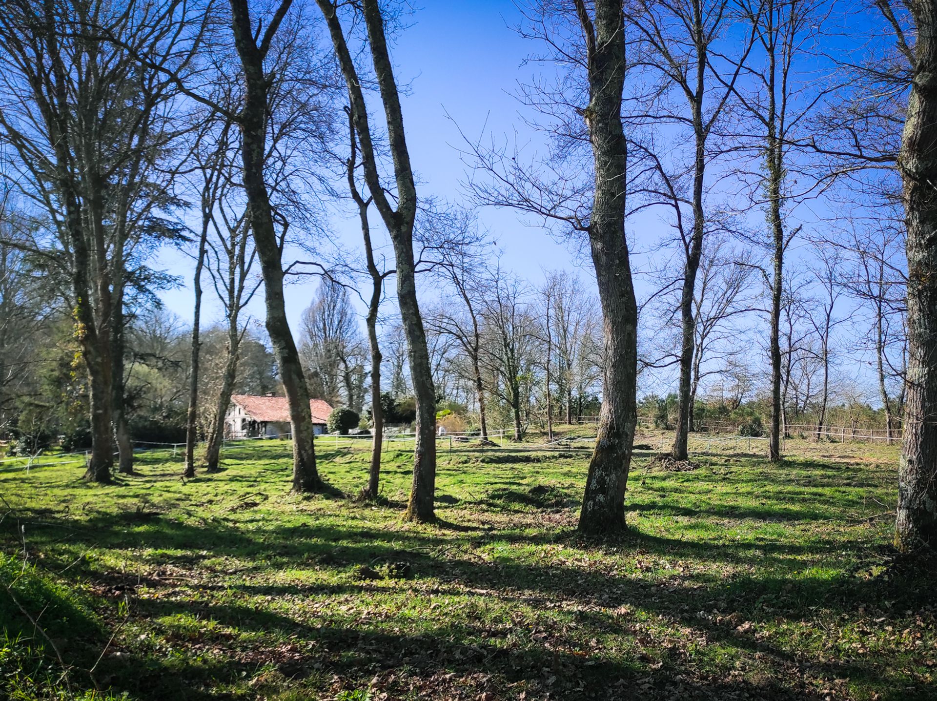 Kondominium di Tartas, Nouvelle-Aquitaine 11053280