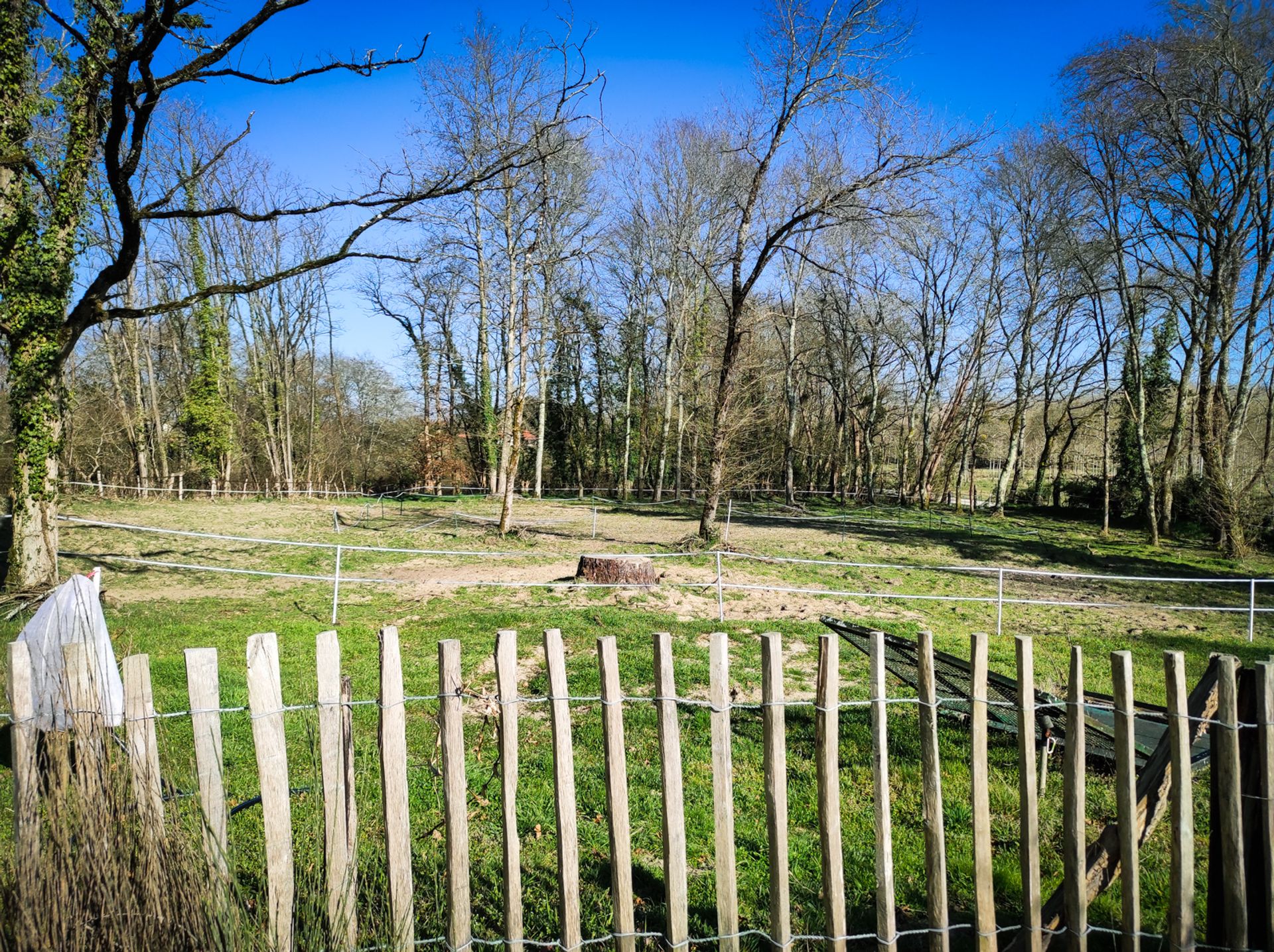 Kondominium di Tartas, Nouvelle-Aquitaine 11053280