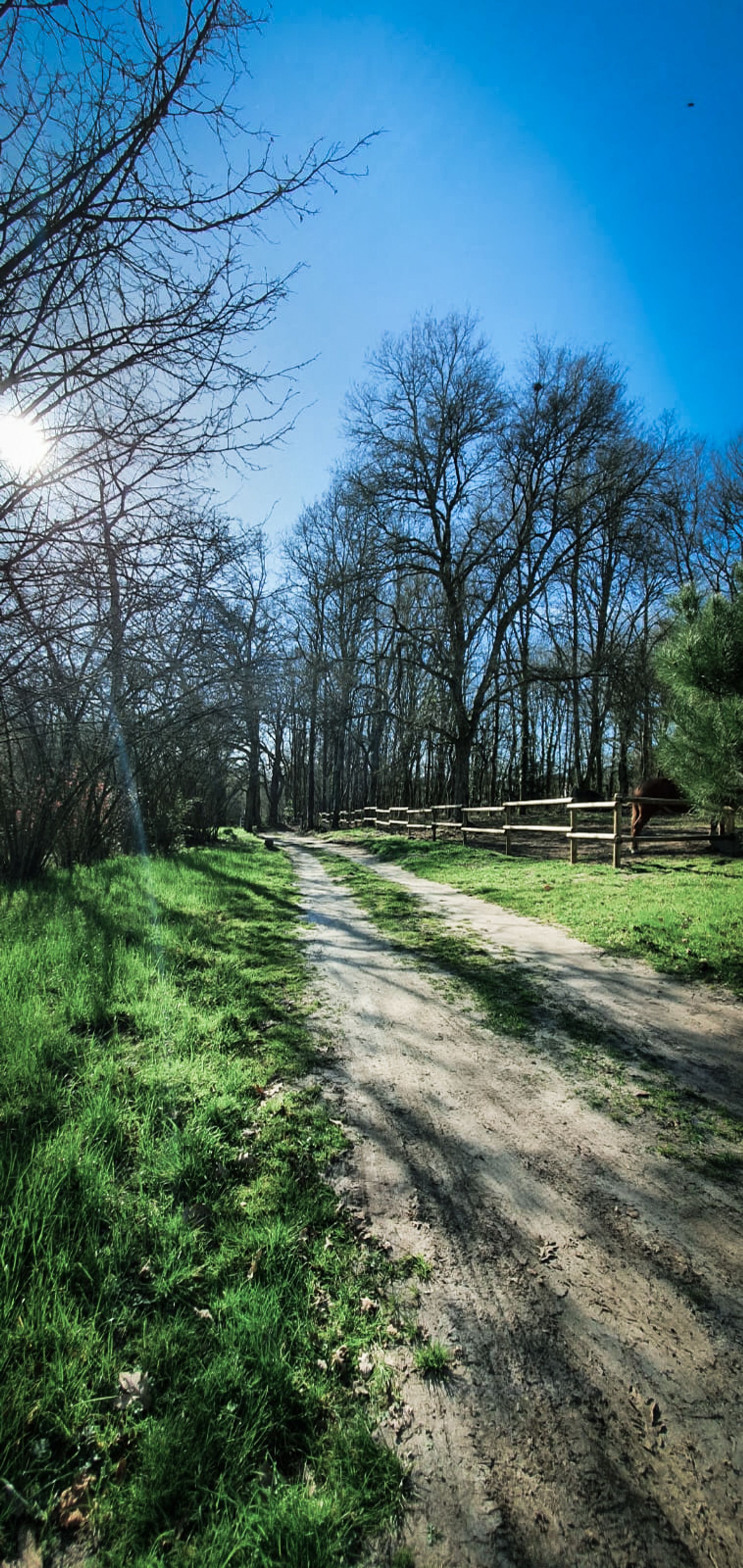 Kondominium di Tartas, Nouvelle-Aquitaine 11053280