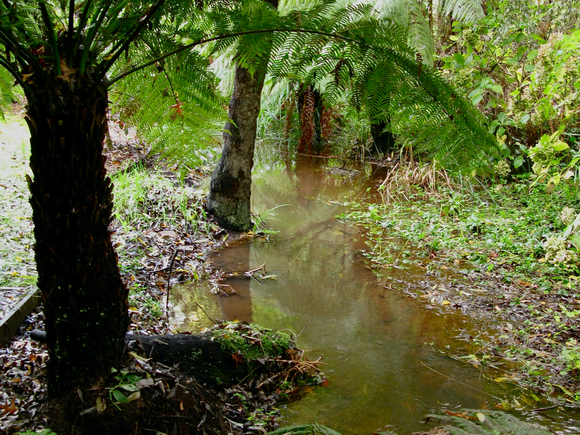 Casa nel Menzies Creek, Victoria 11053326