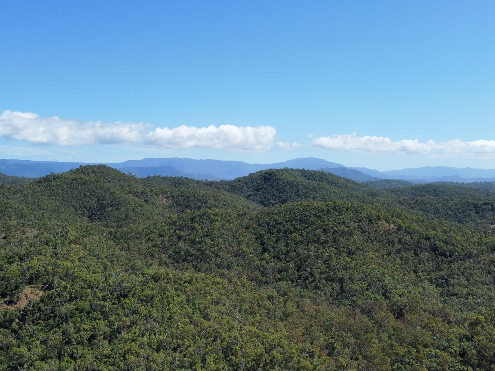 Terra no Bloomsbury, Queensland 11053405