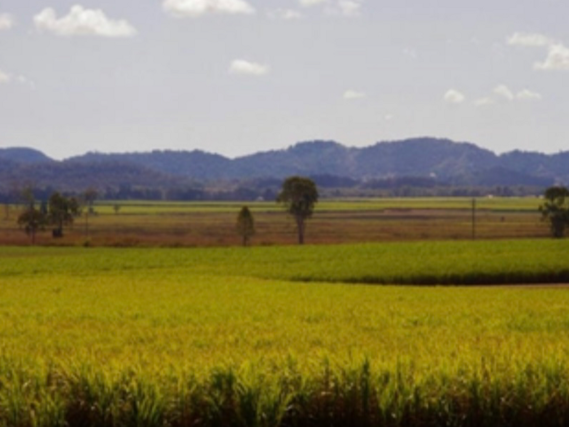 Talo sisään Marian, Queensland 11053428